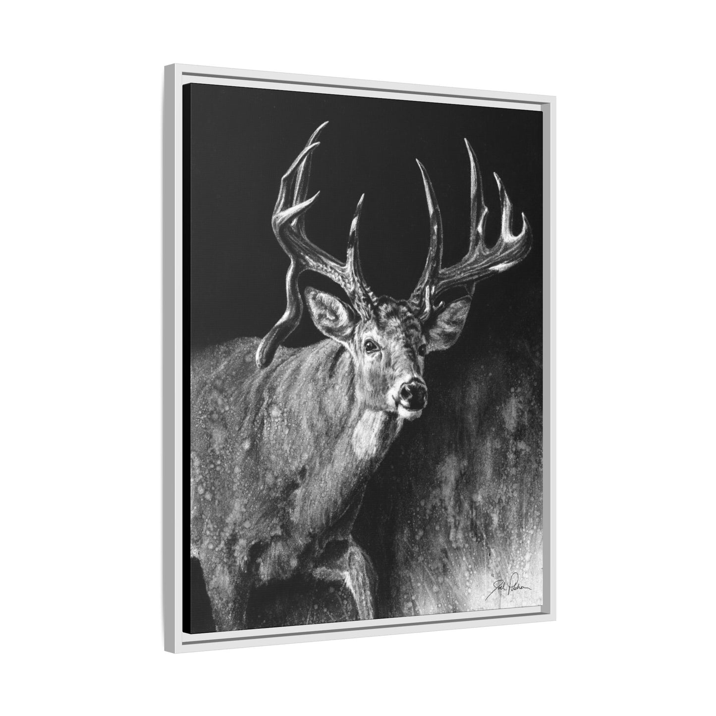 "Jaw Dropper" Framed Canvas