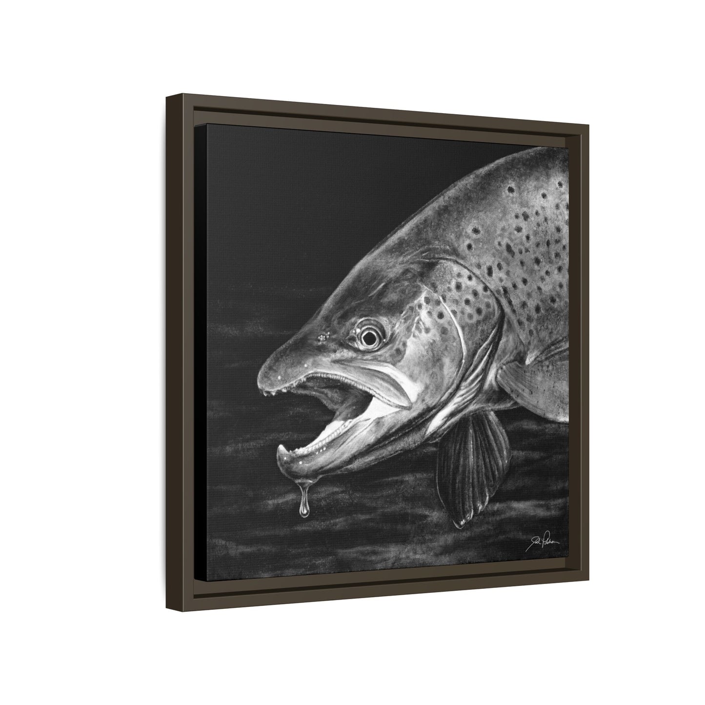"Brown Trout" Framed Canvas