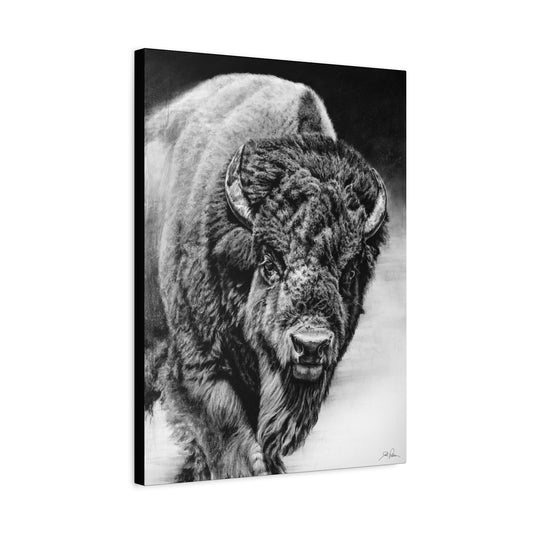 "Heavyweight Champ" Stretched Canvas