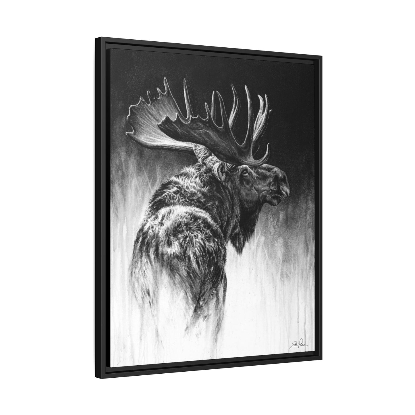 "Bull Moose" Framed Canvas