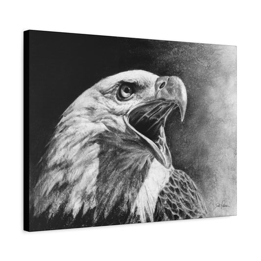 "Bald Eagle" Stretched Canvas