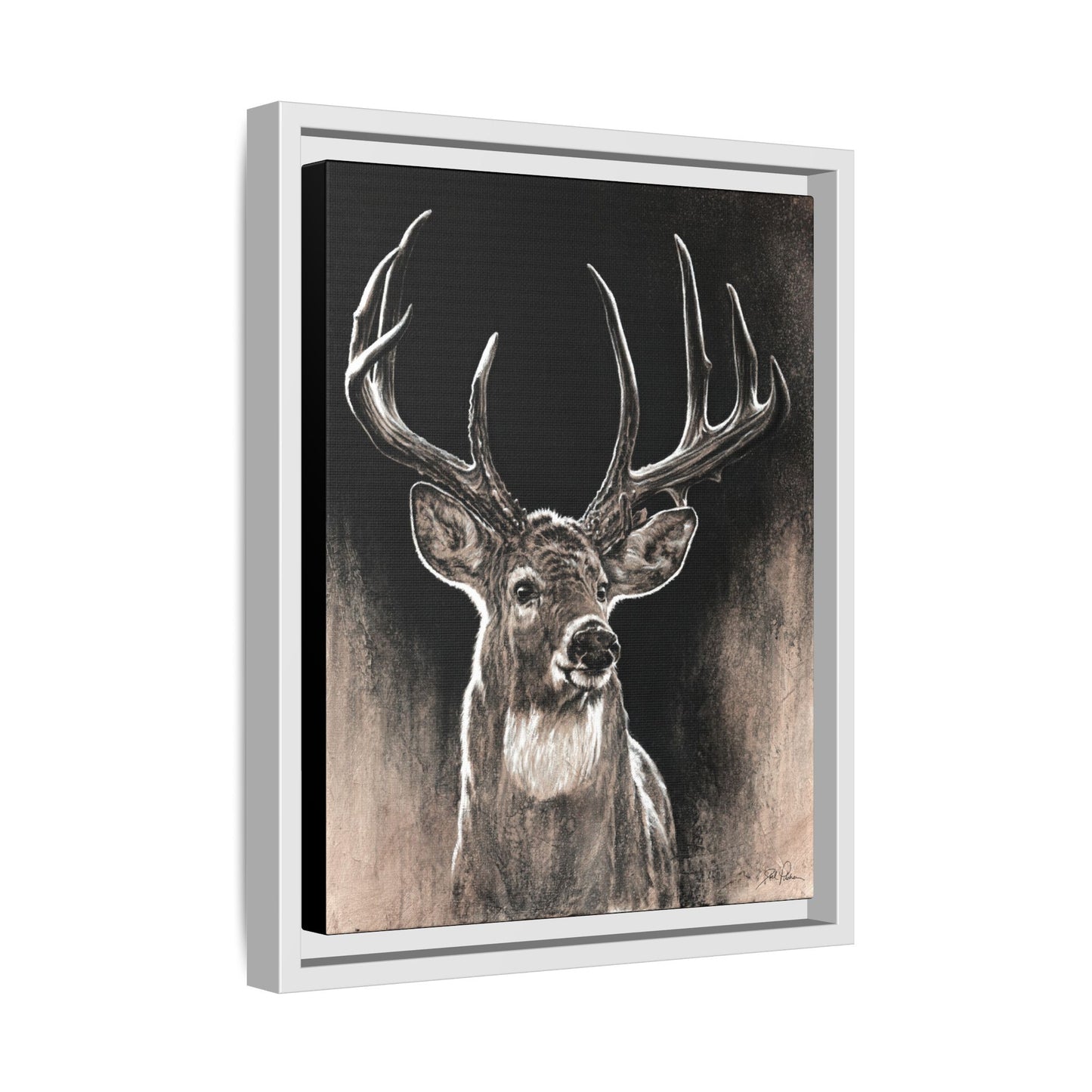 "Backlit Buck" Framed Canvas