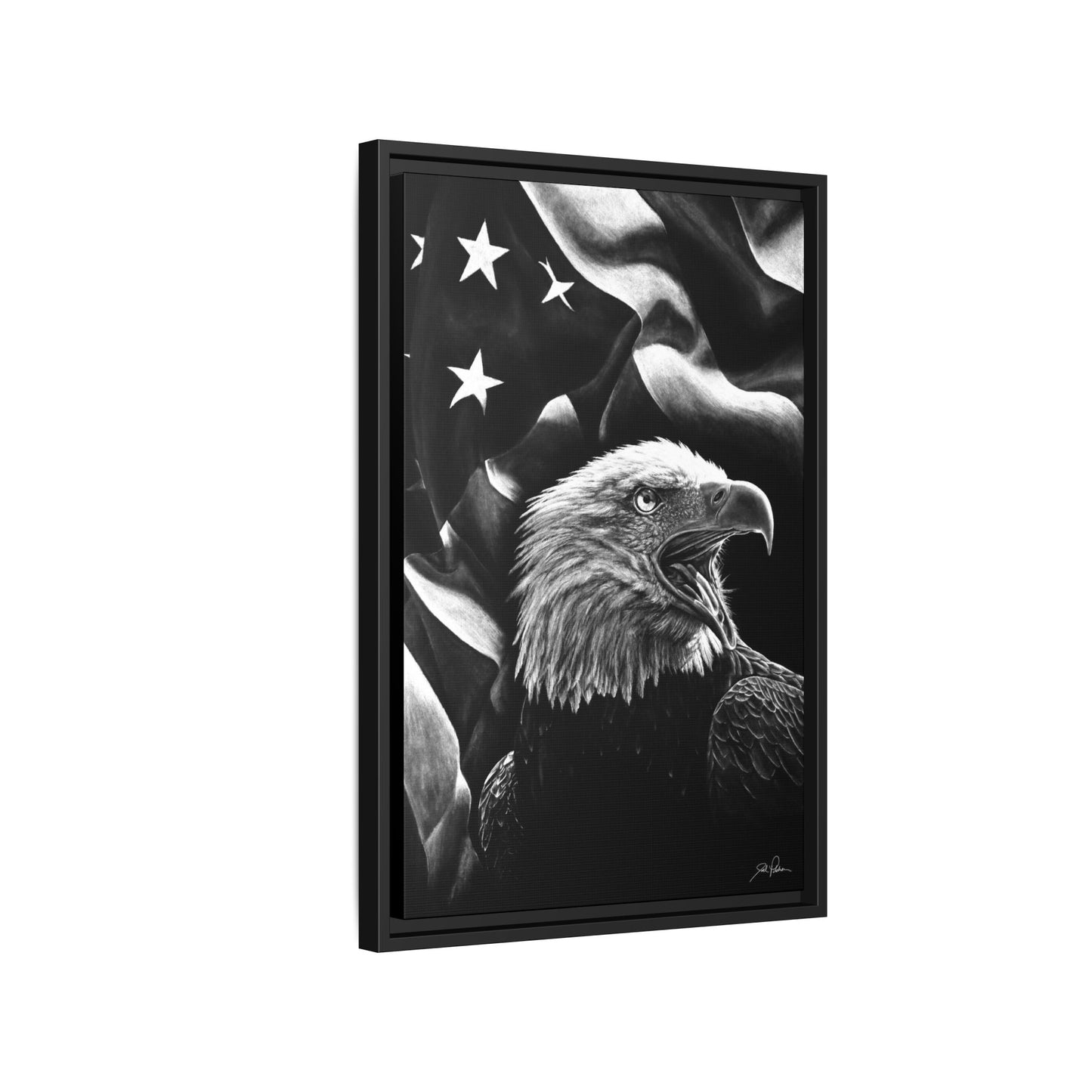 "American Eagle" Framed Canvas