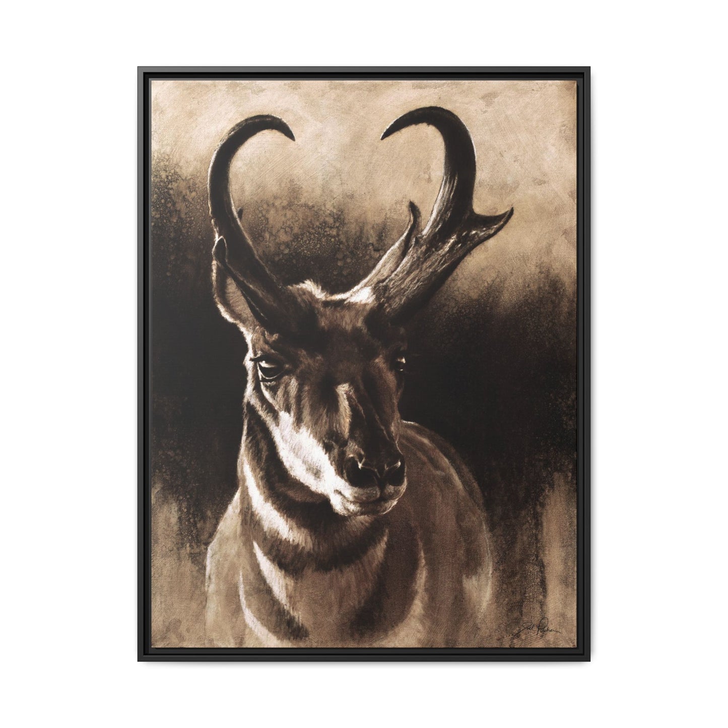 "Pronghorn" Framed Canvas