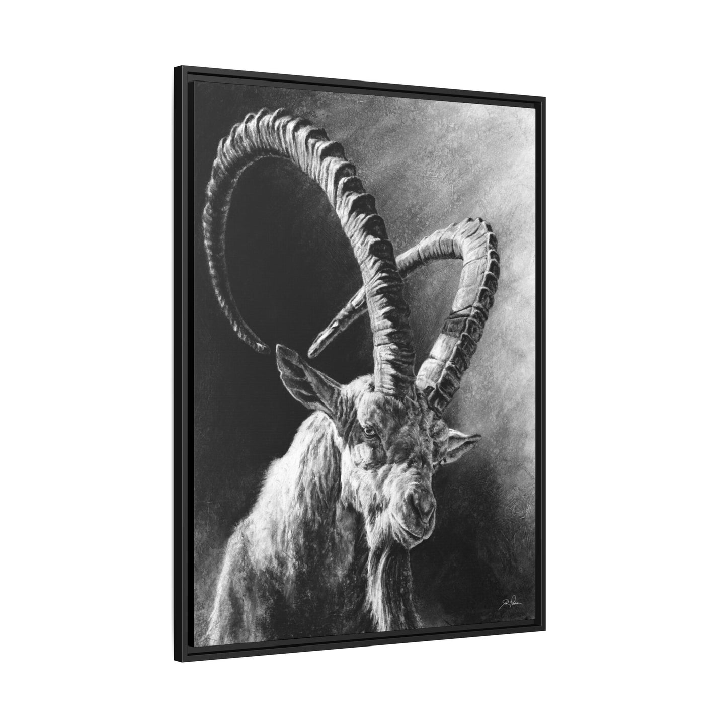 "Ibex" Framed Canvas