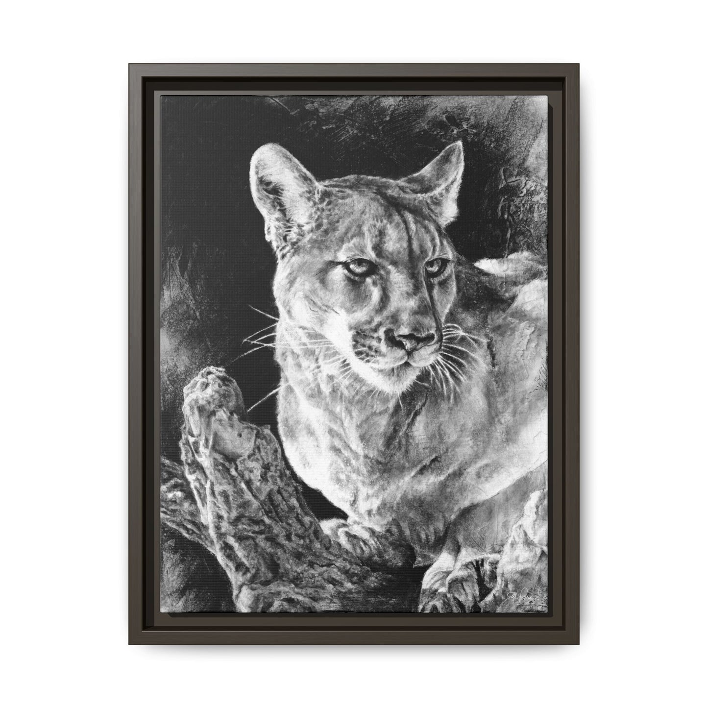 "Mountain Lion" Framed Canvas