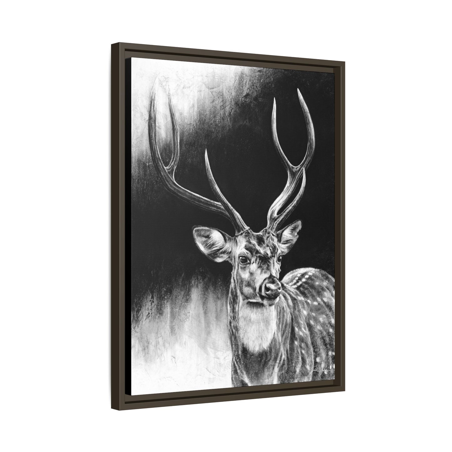 "Axis Buck" Framed Canvas