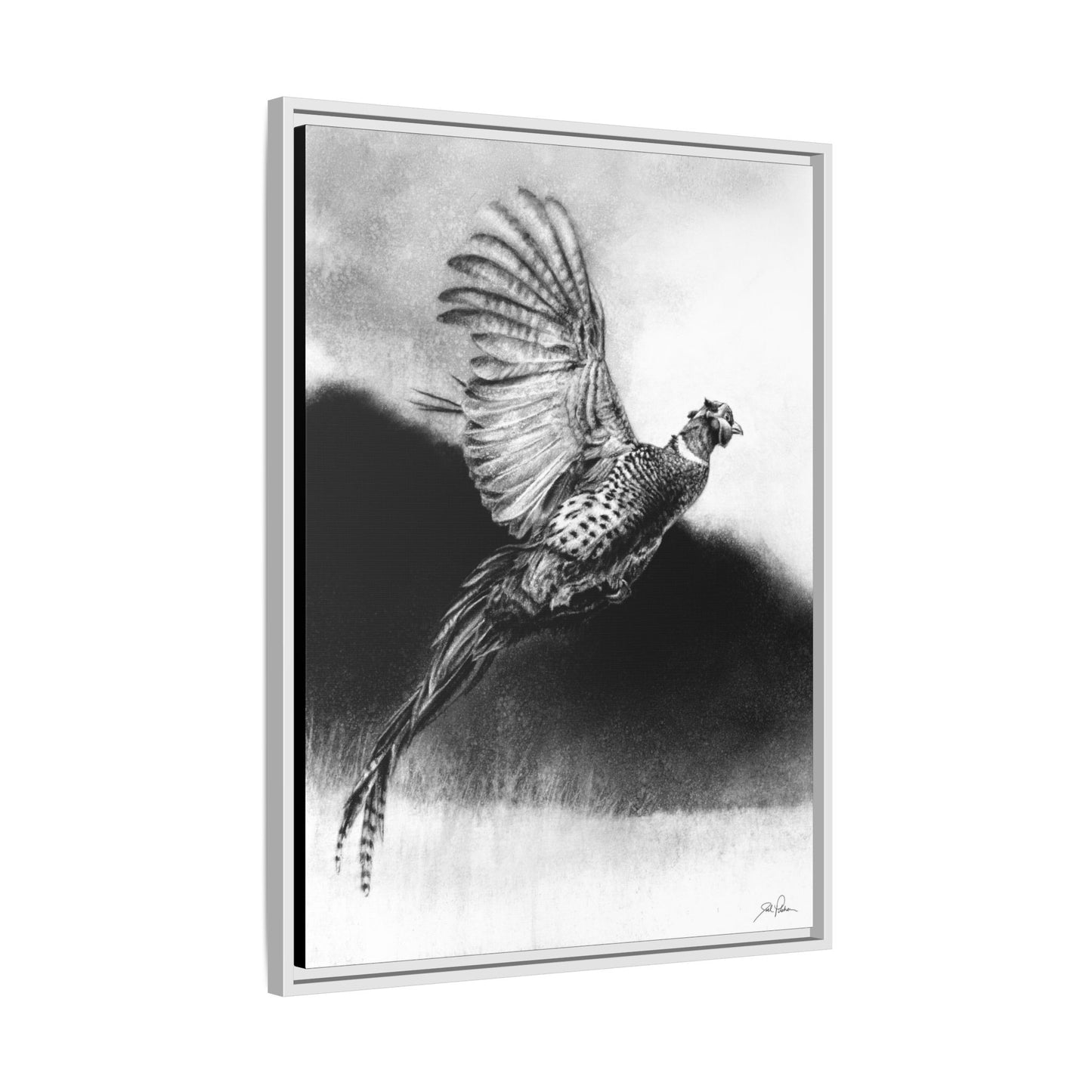 "Flushed" Framed Canvas