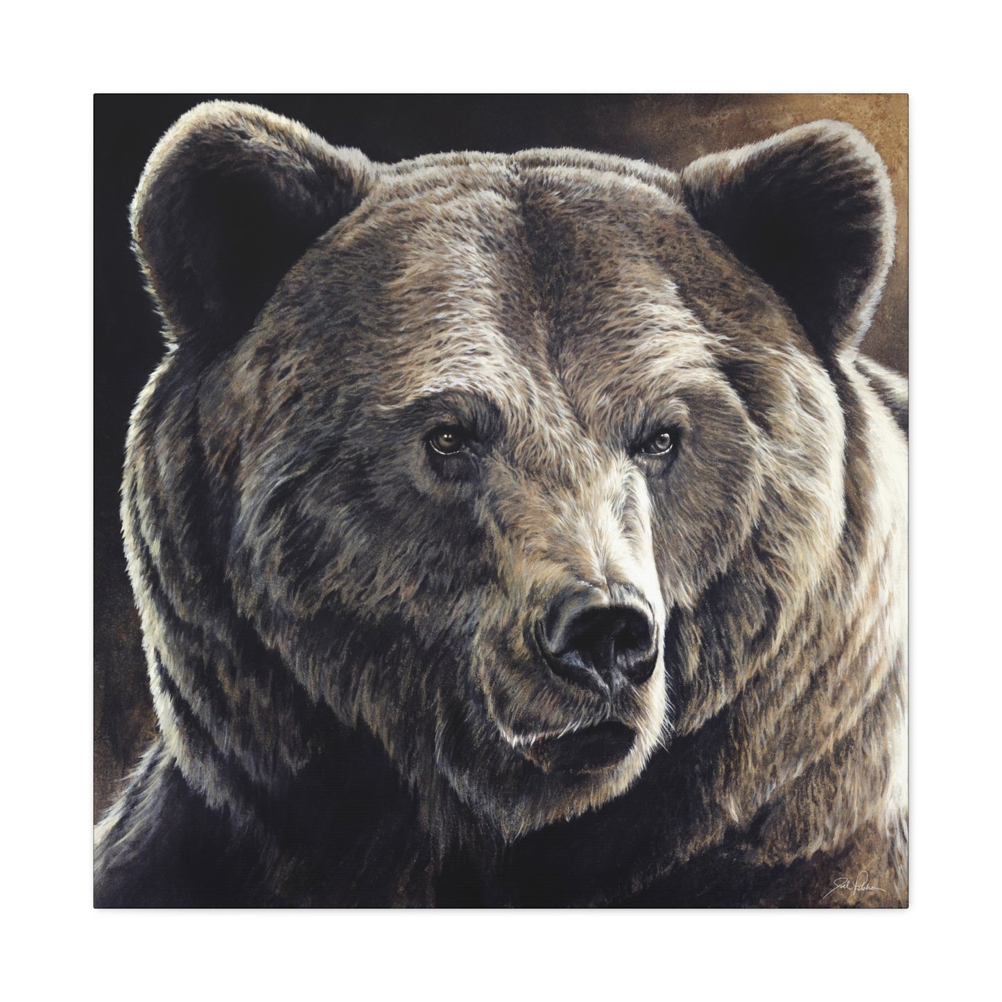"Kodiak" Stretched Canvas