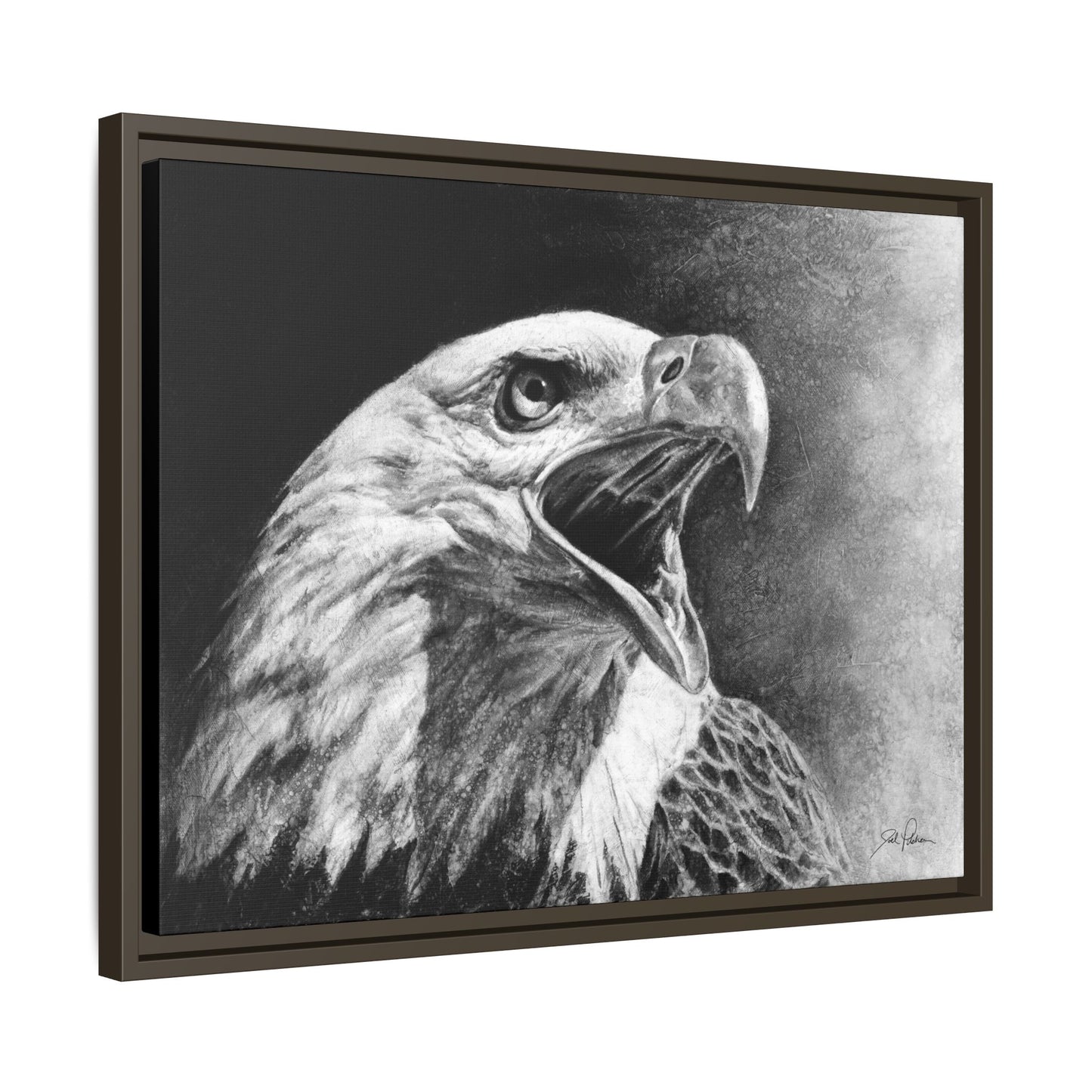 "Bald Eagle" Framed Canvas