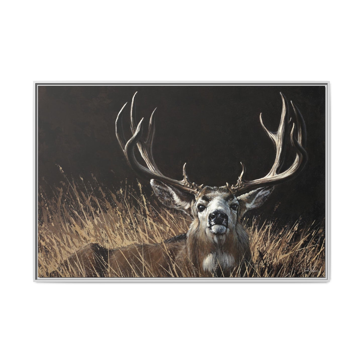 "Eye Contact" Framed Canvas