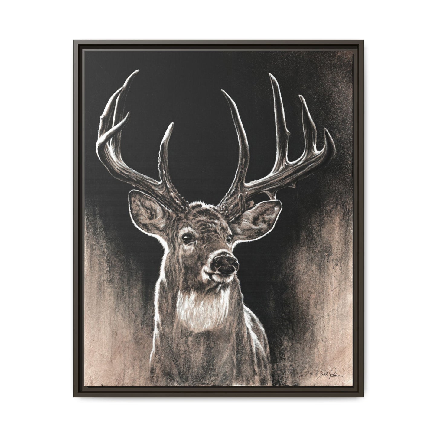 "Backlit Buck" Framed Canvas