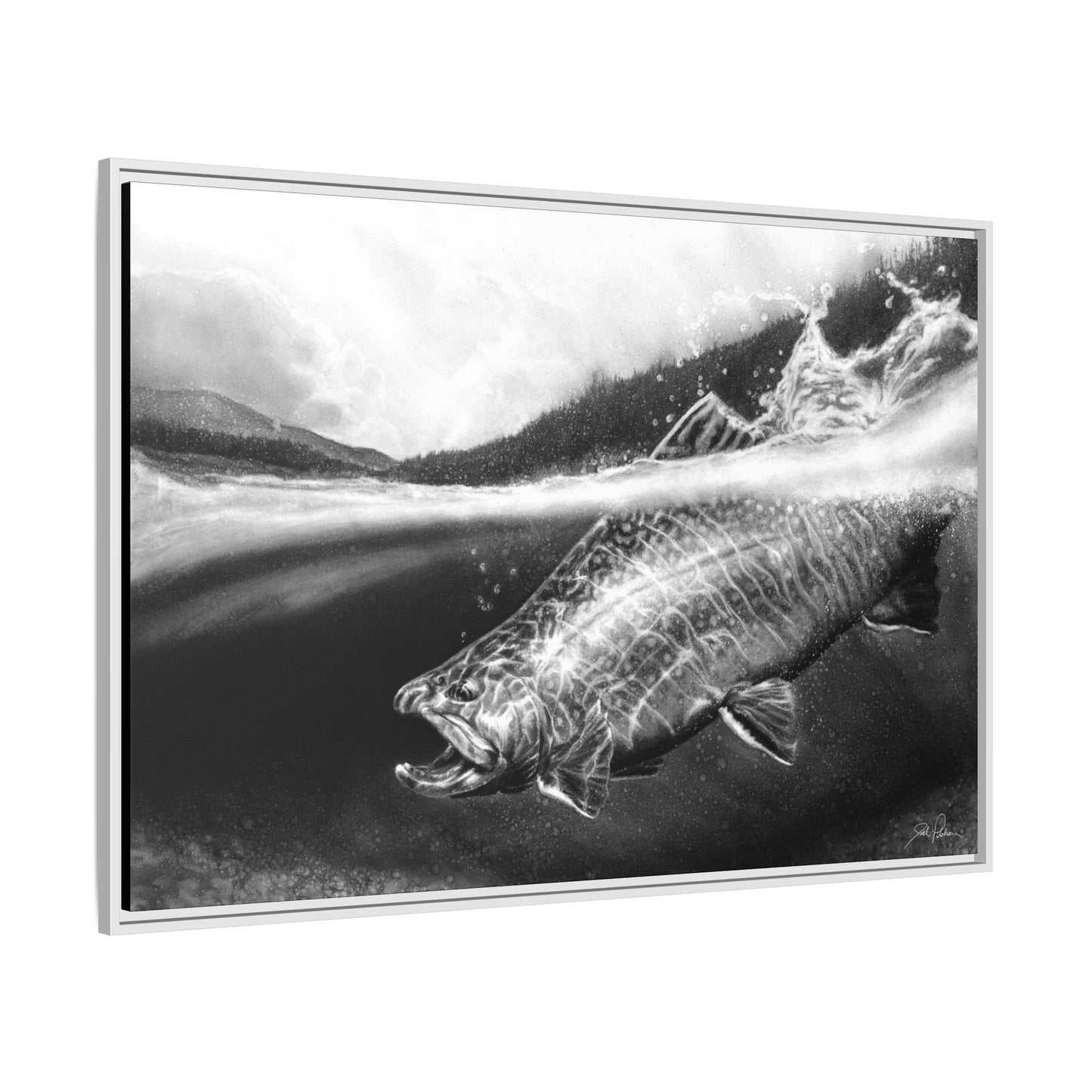 "Brook Trout" Framed Canvas