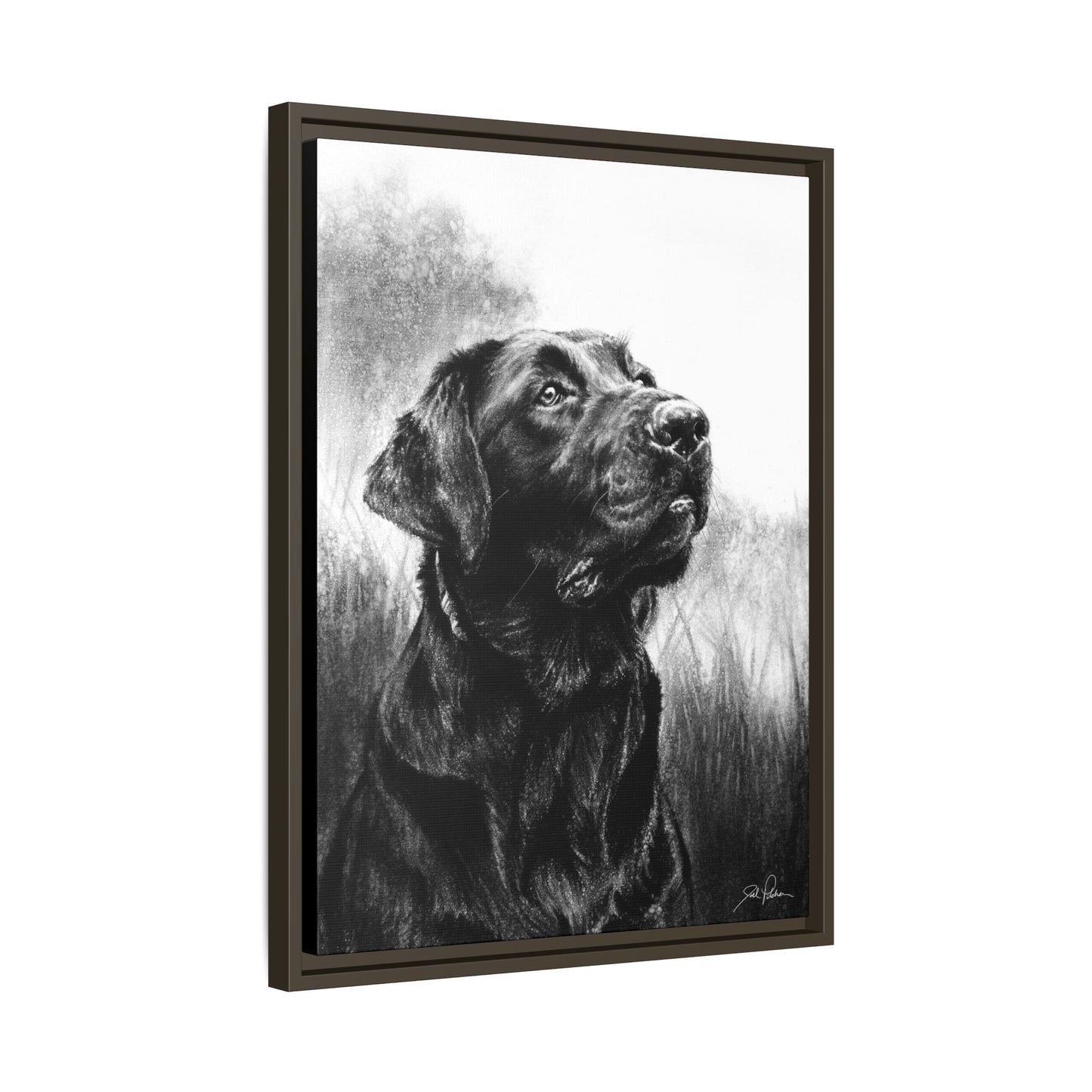 "Labrador Retriever" Framed Canvas