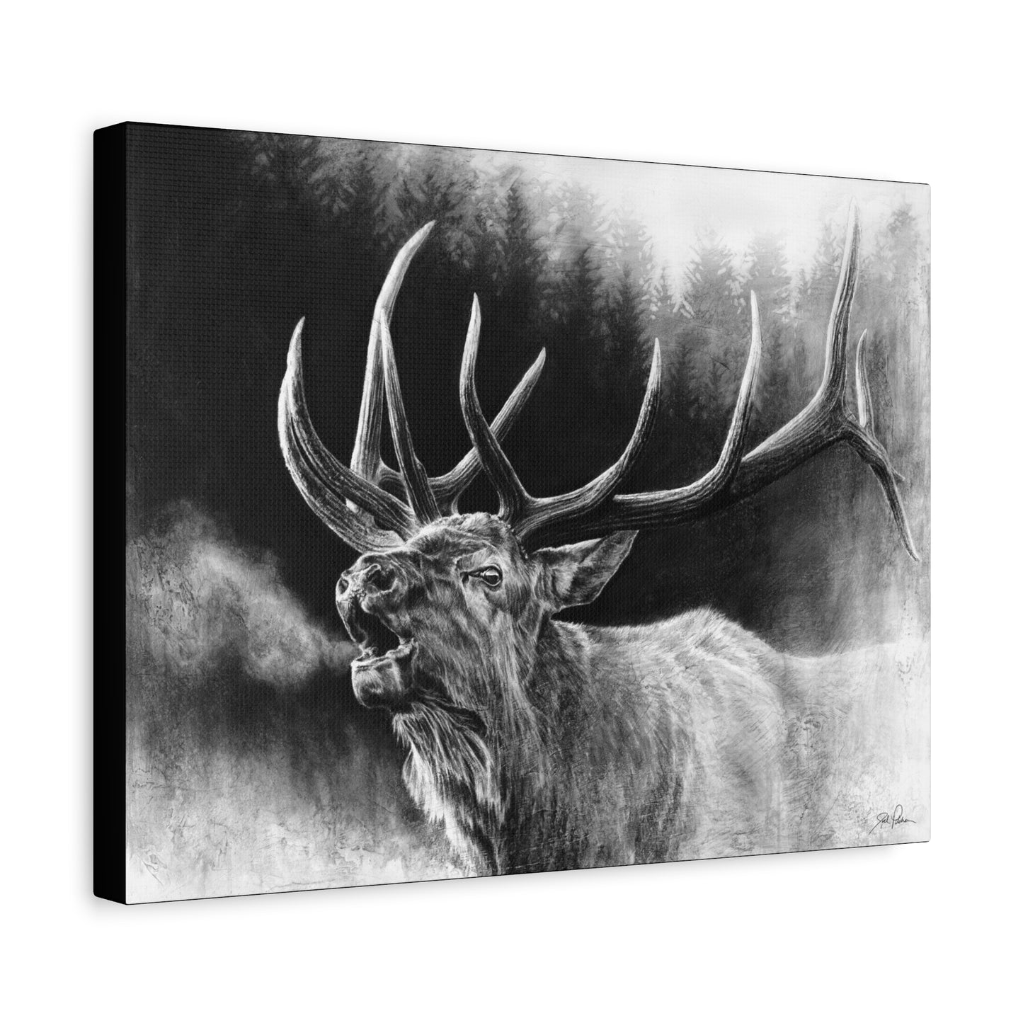 "Bugle Boy" Stretched Canvas