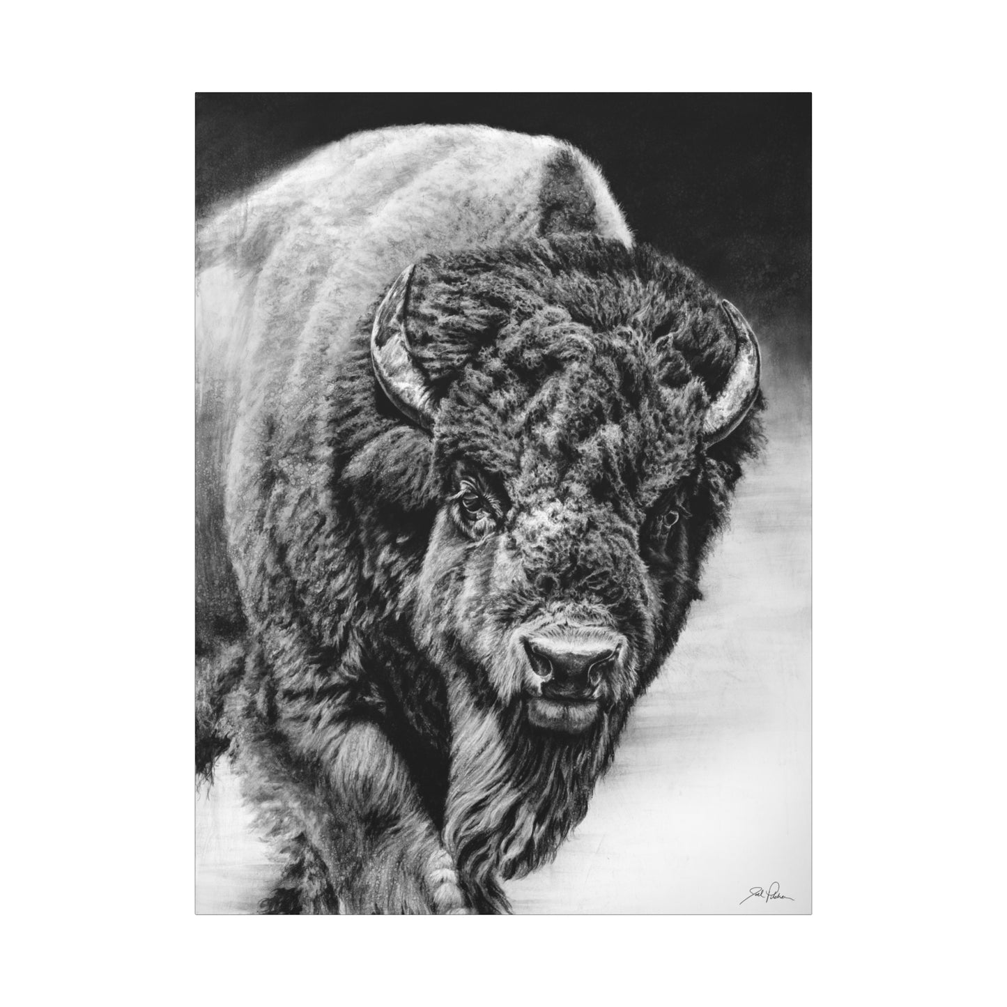 "Heavyweight Champ" Stretched Canvas