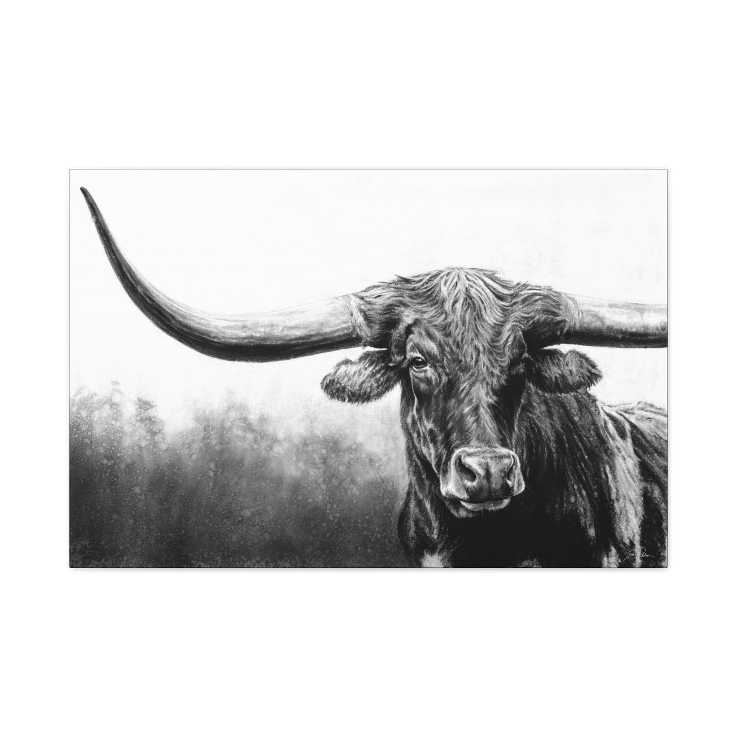 "Longhorn" Stretched Canvas