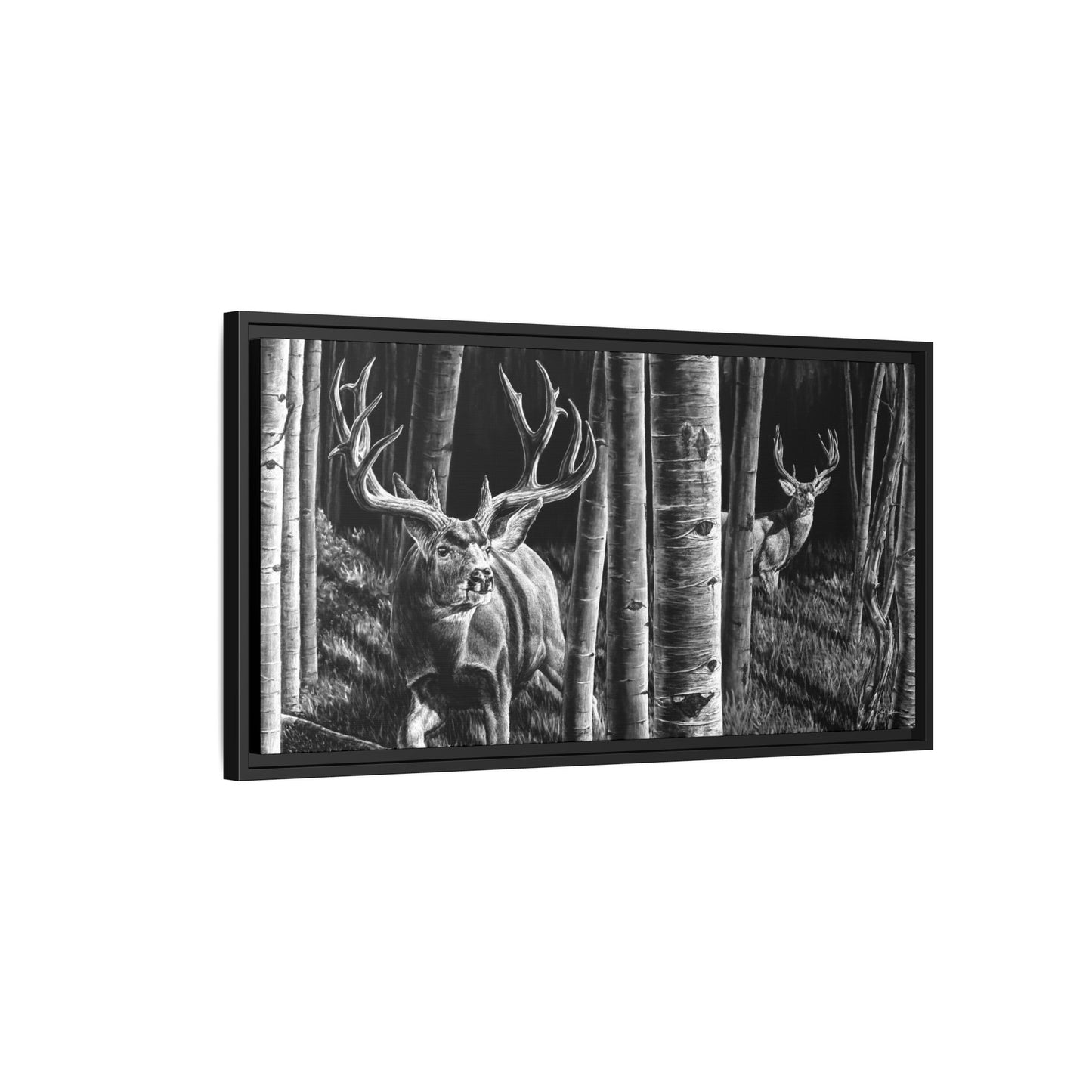 "Out of the Shadows" Framed Canvas