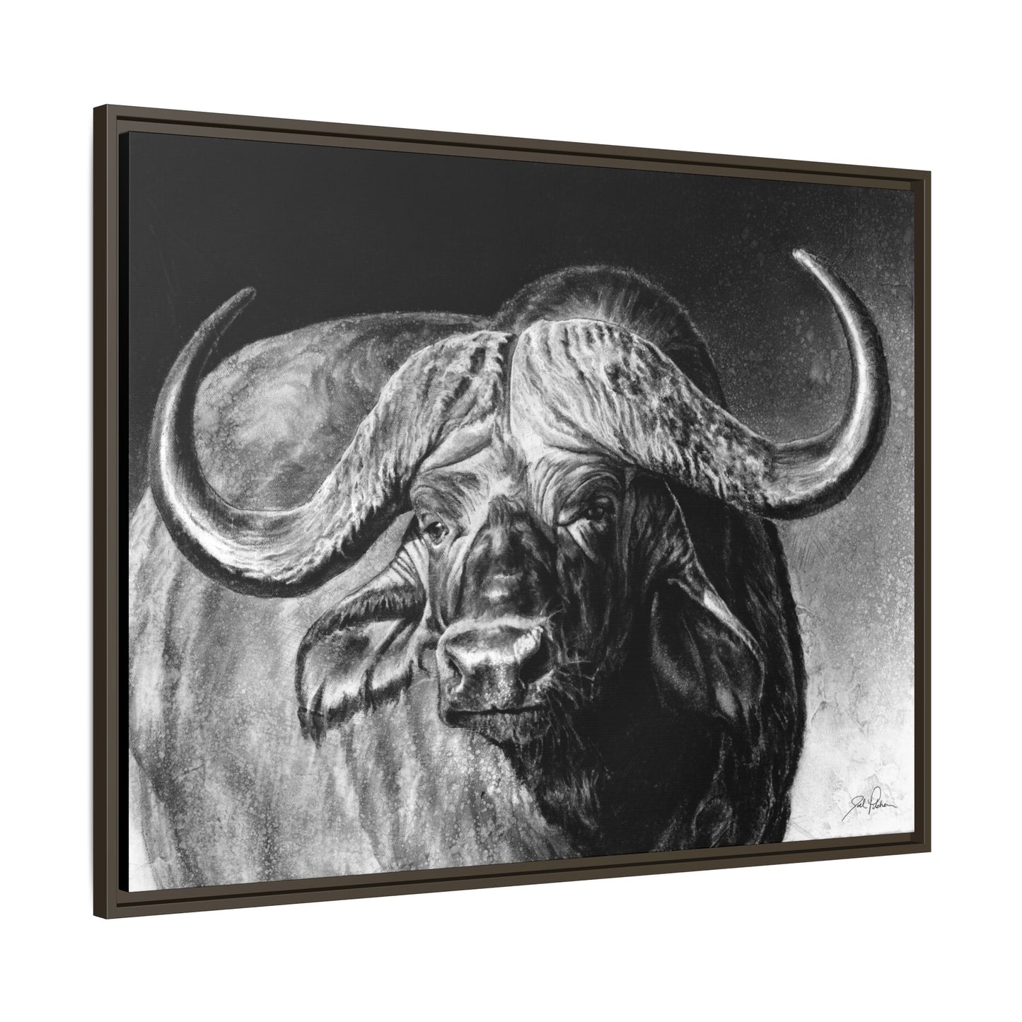 "Cape Buffalo" Framed Canvas