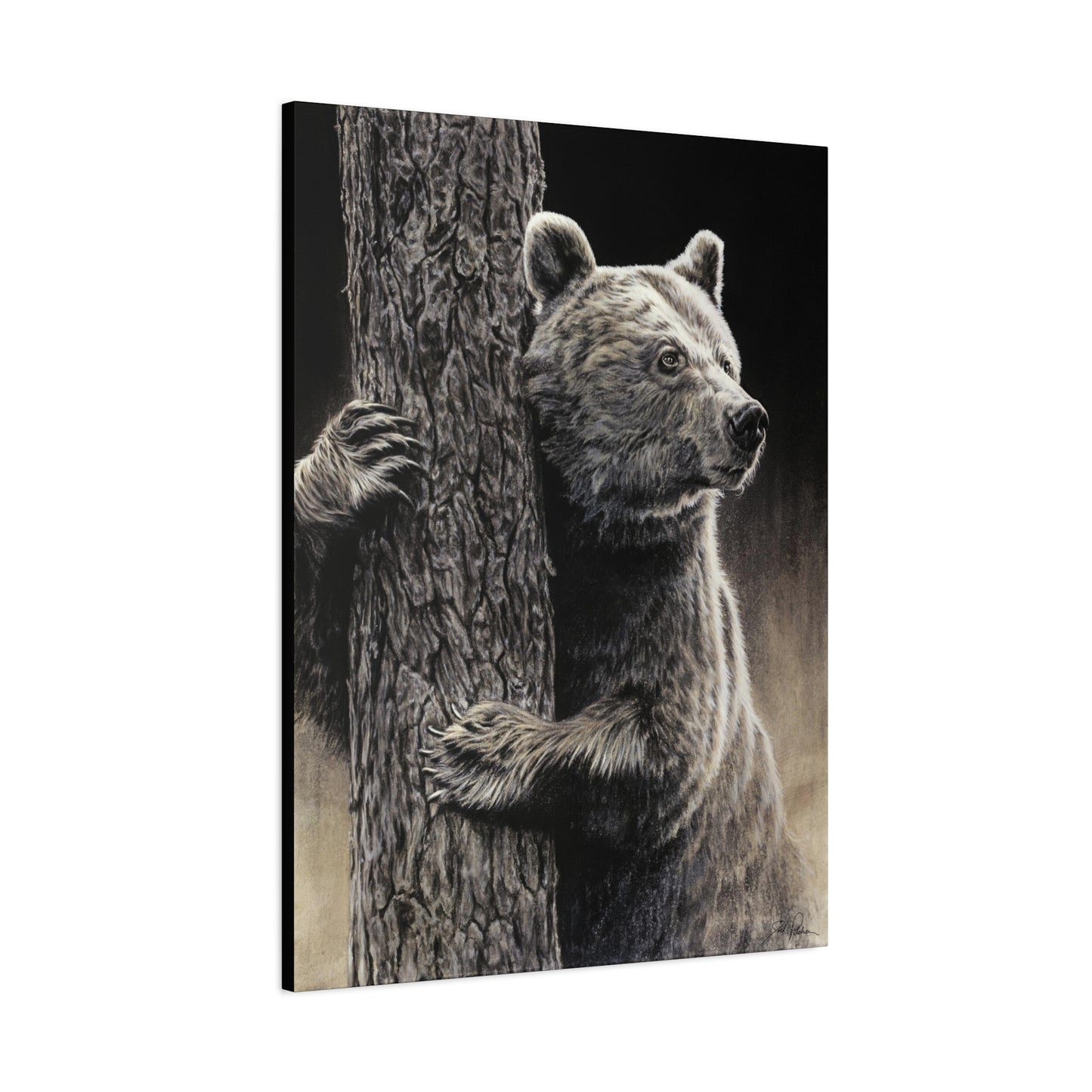 "Bear Hug" Stretched Canvas