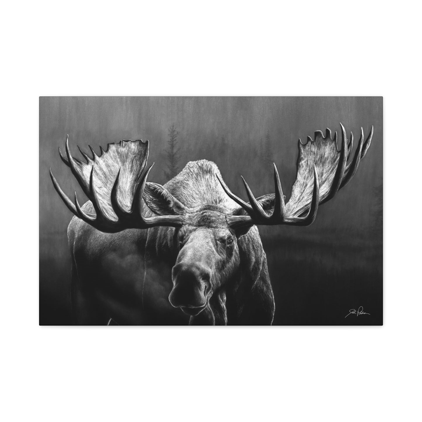 "Wide Load" Stretched Canvas