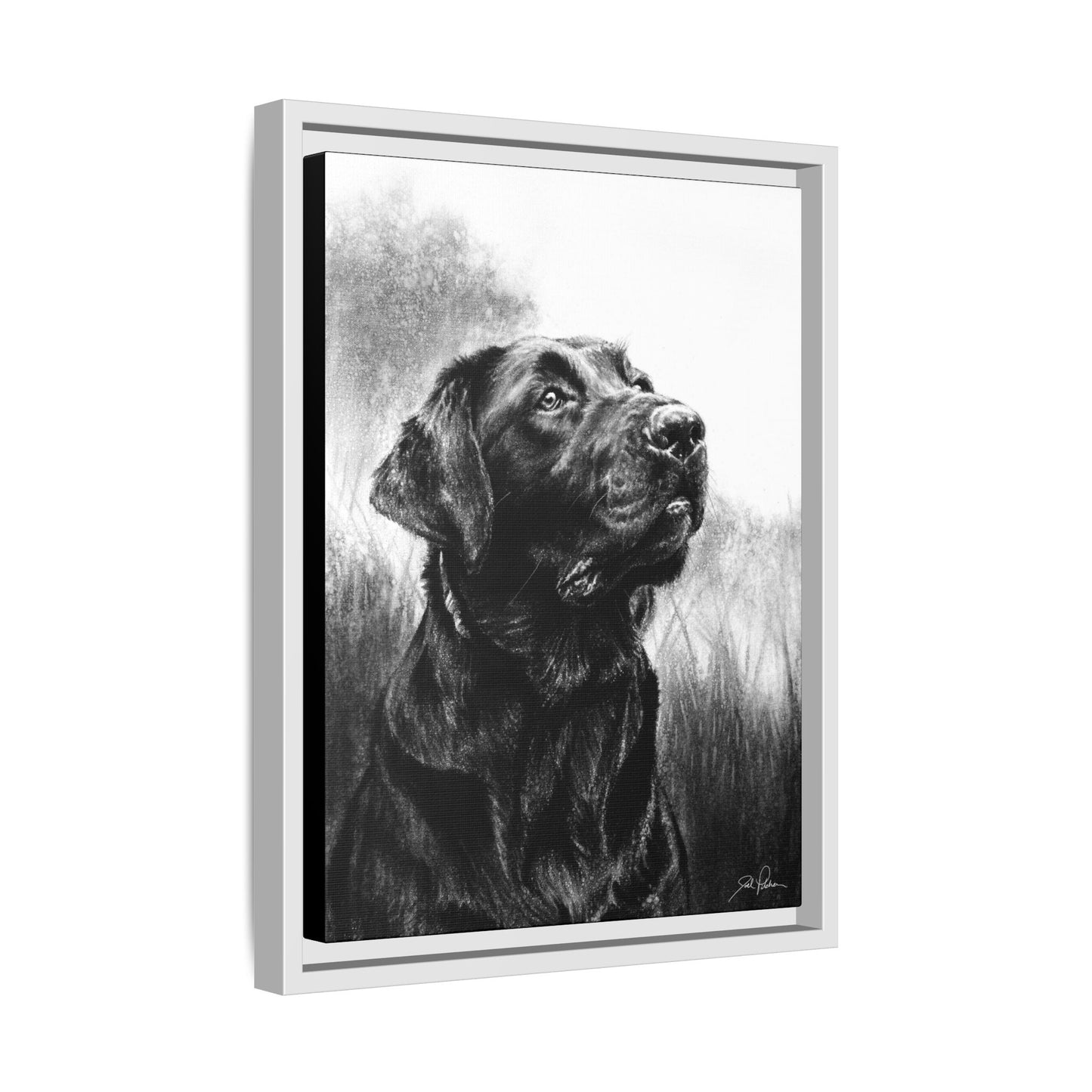 "Labrador Retriever" Framed Canvas