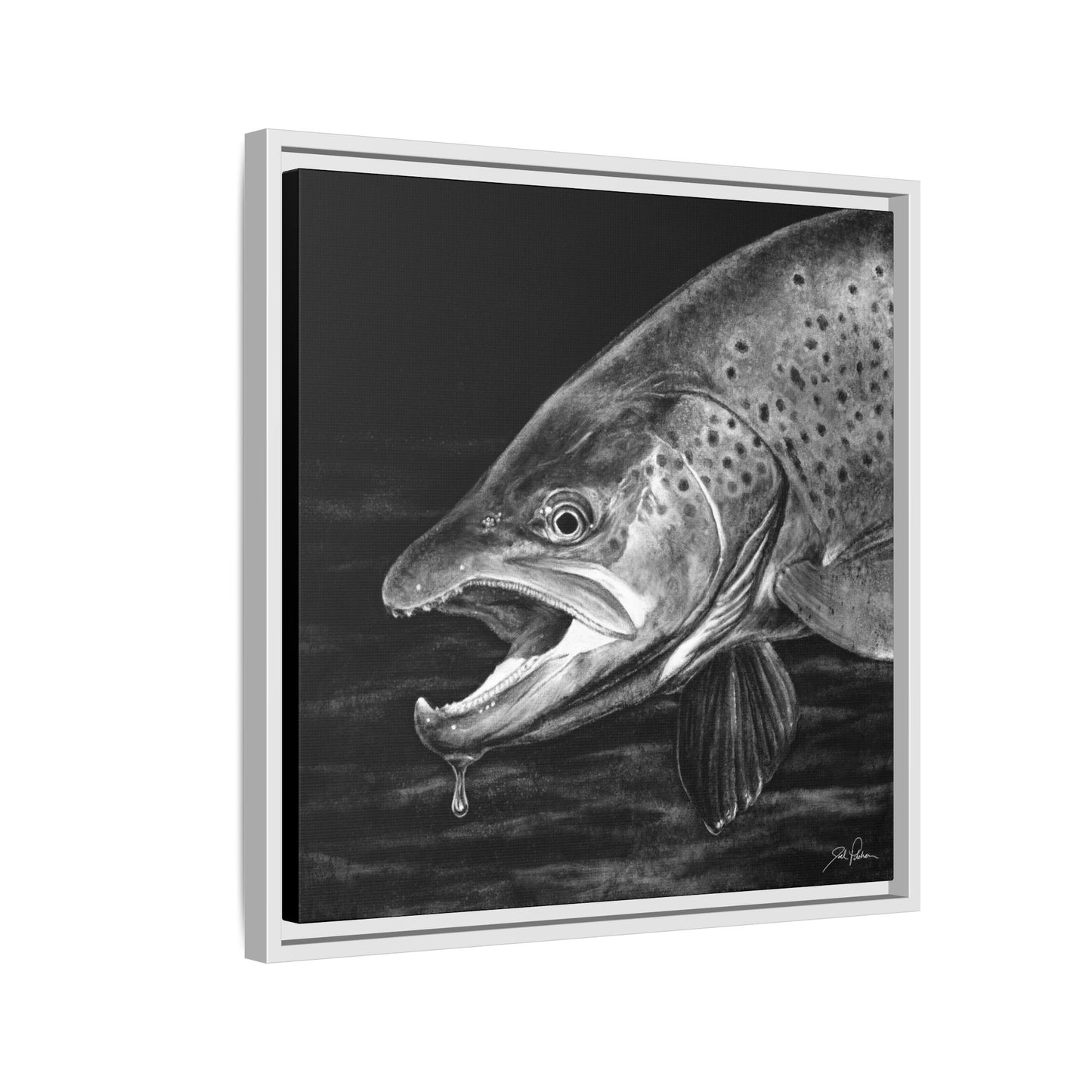 "Brown Trout" Framed Canvas