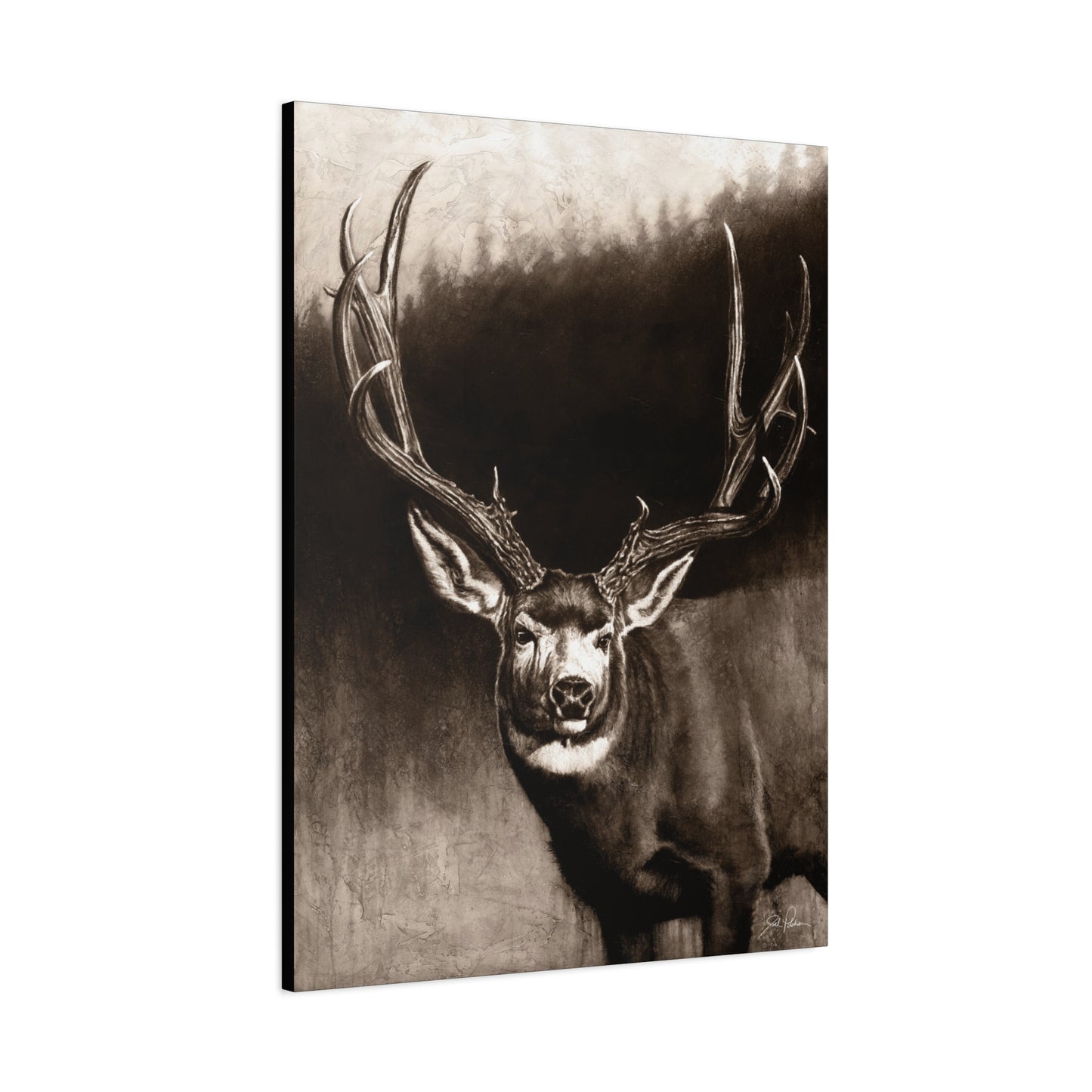 "Muley" Stretched Canvas