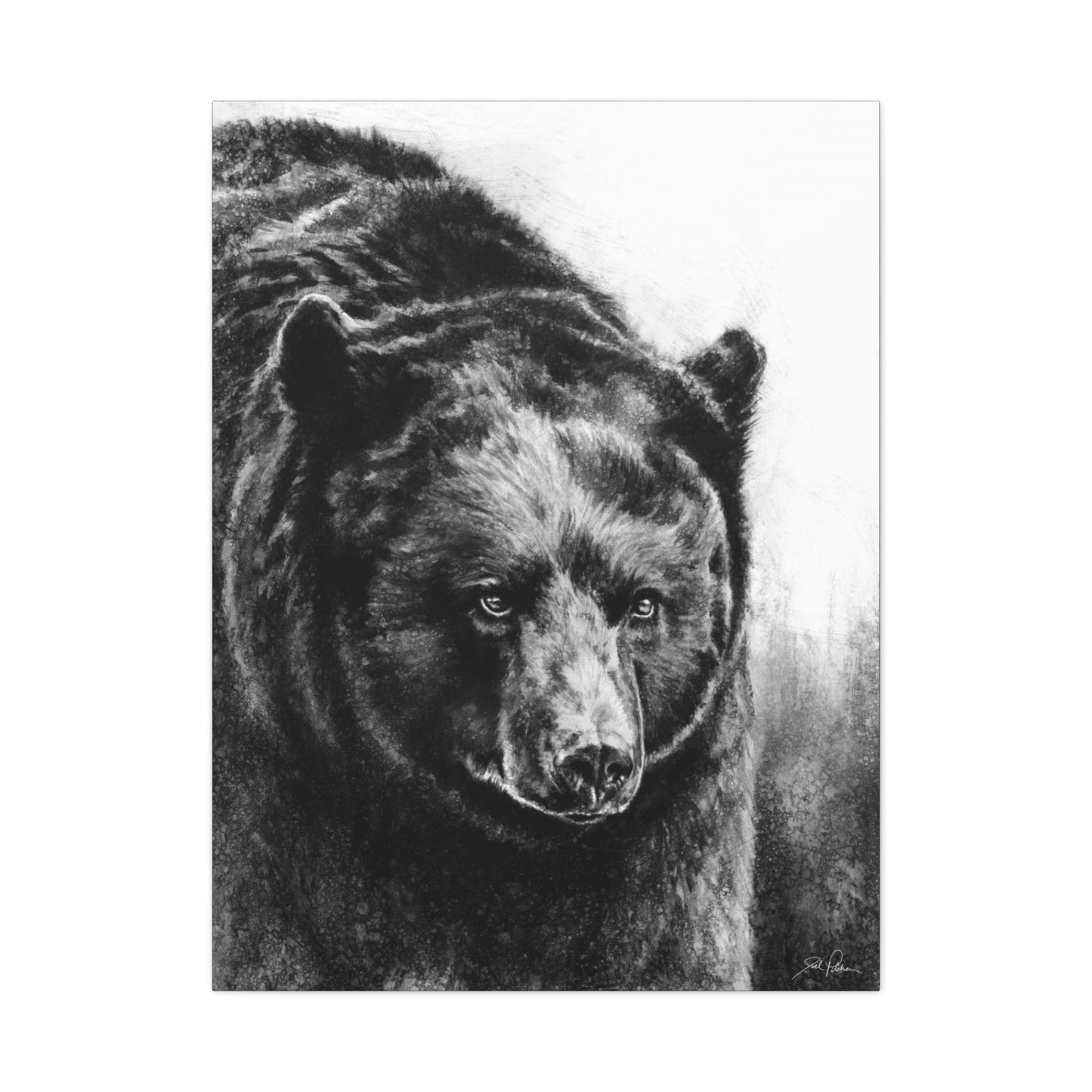 "Black Bear" Stretched Canvas