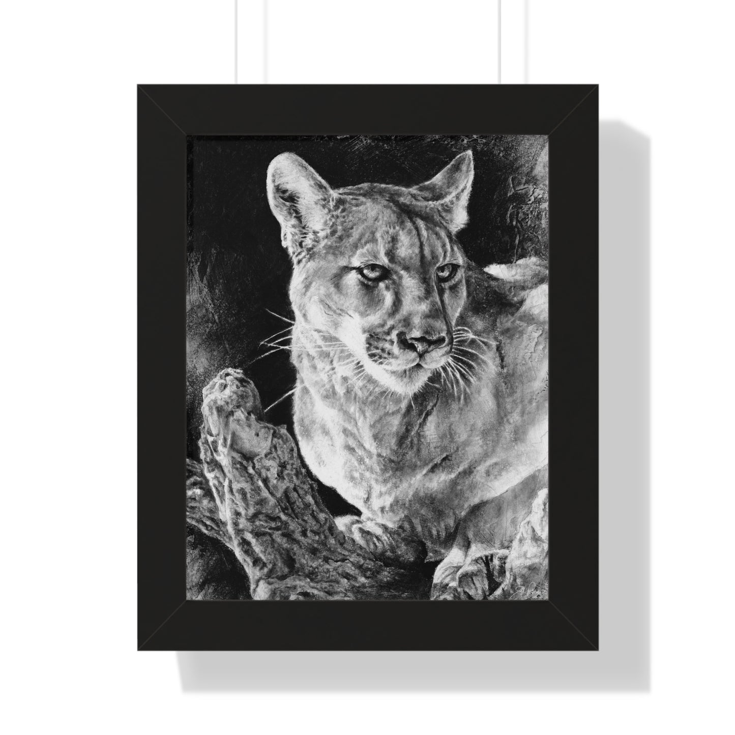 "Mountain Lion" Framed Paper Print