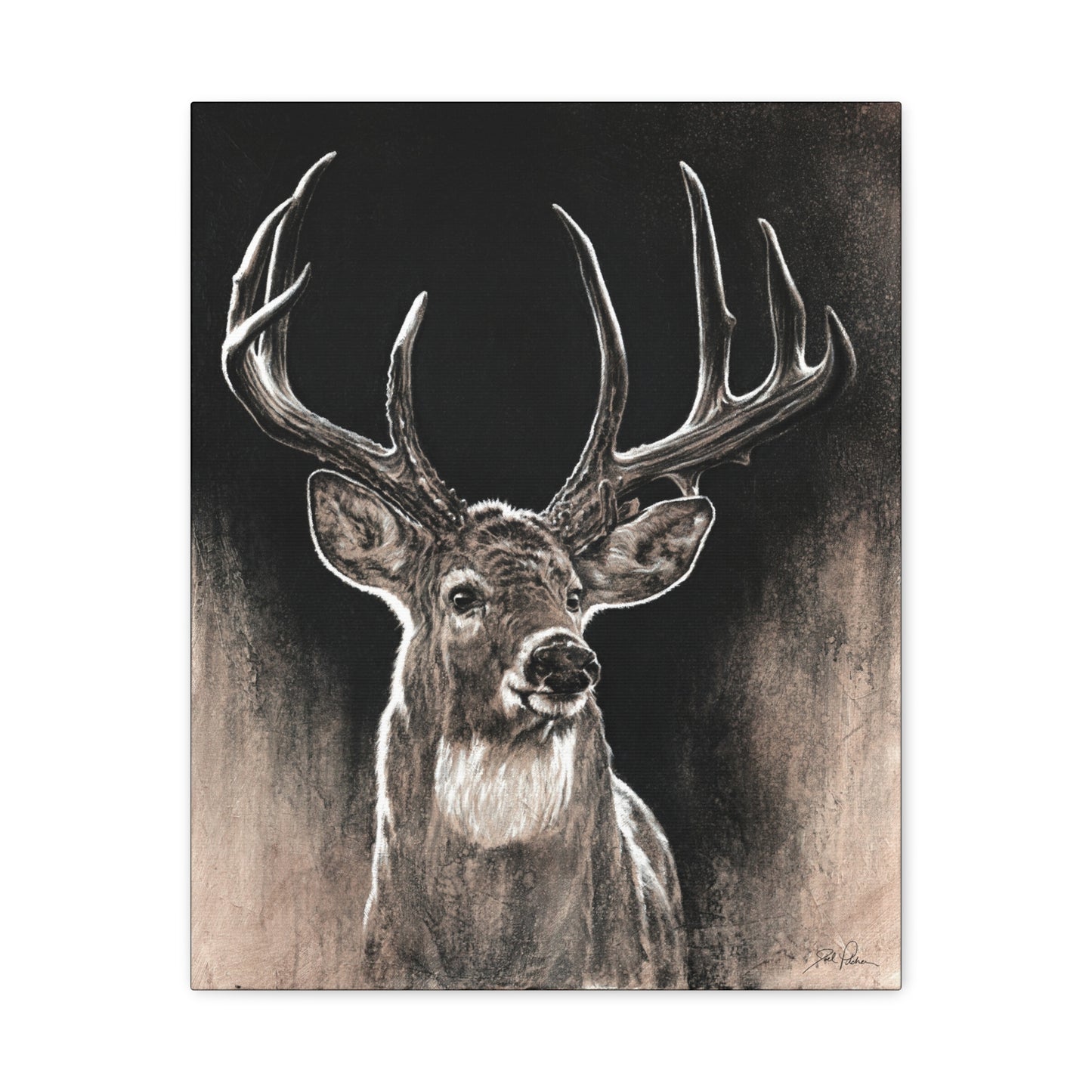 "Backlit Buck" Stretched Canvas