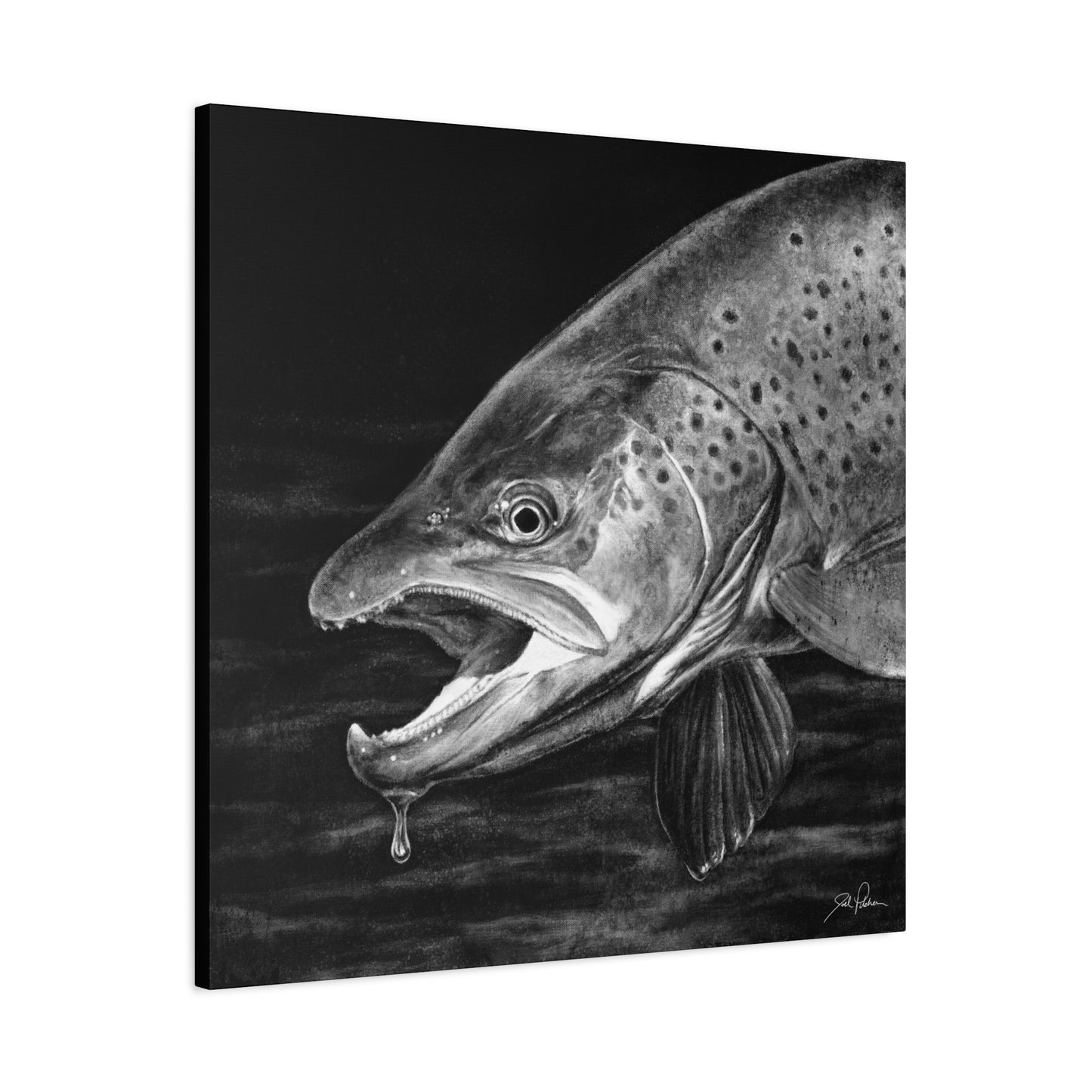 "Brown Trout" Stretched Canvas