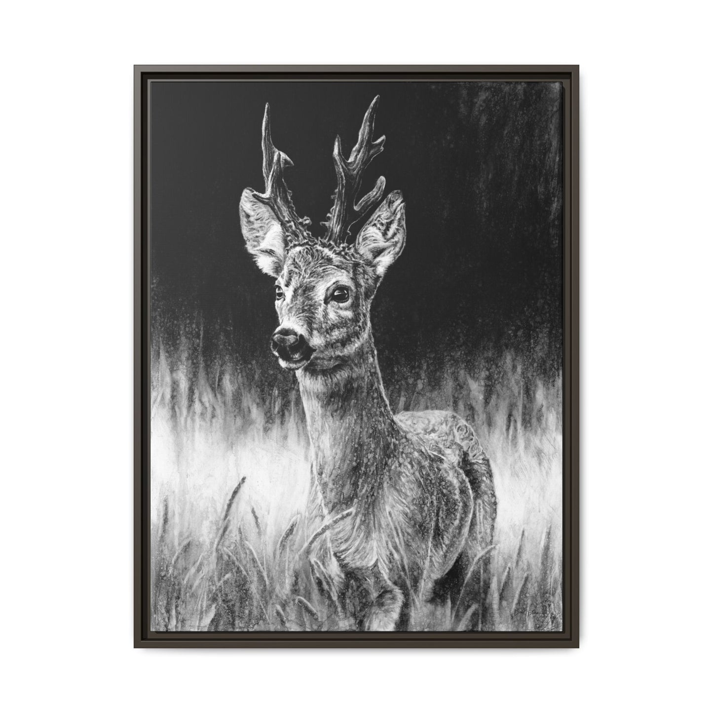 "Roe Deer" Framed Canvas