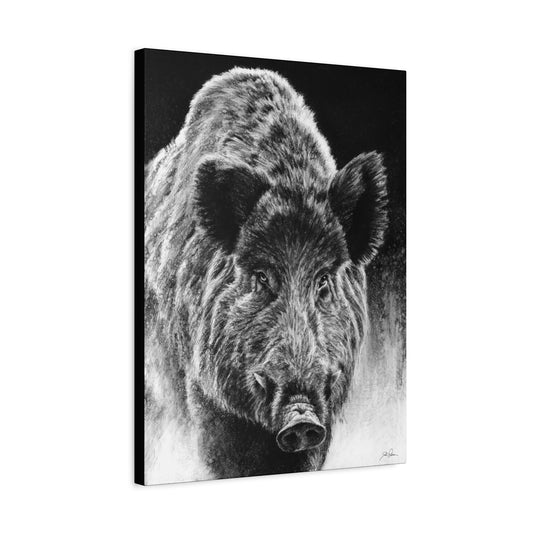 "Wild Boar" Stretched Canvas