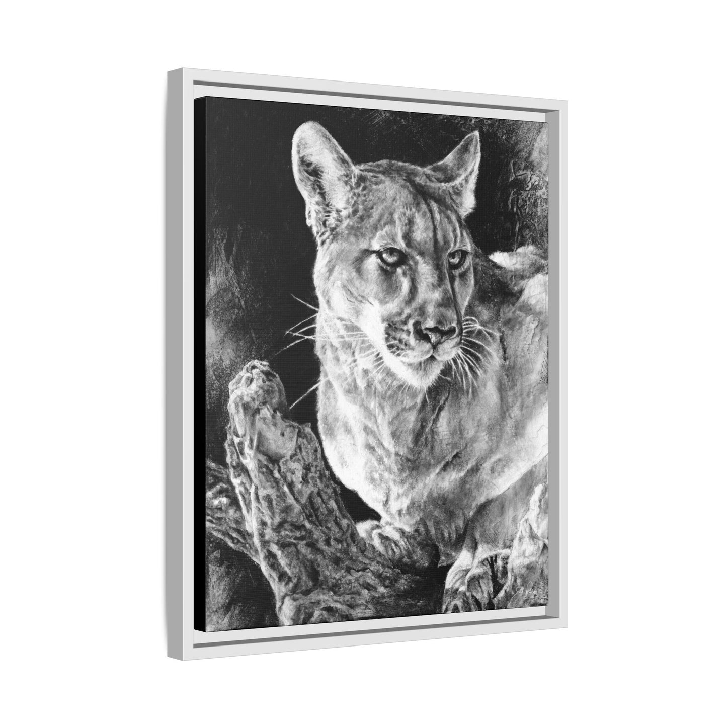 "Mountain Lion" Framed Canvas