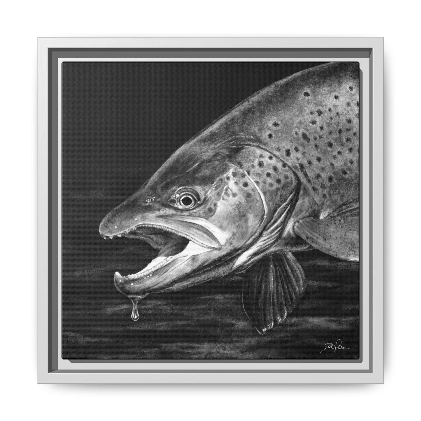 "Brown Trout" Framed Canvas