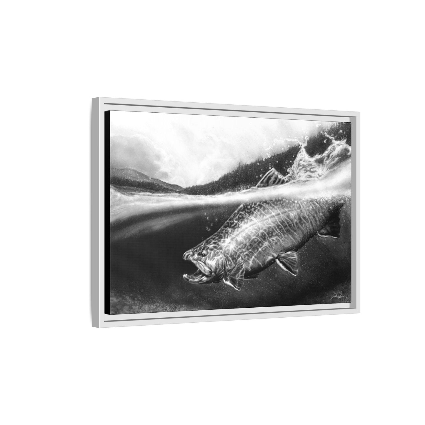 "Brook Trout" Framed Canvas