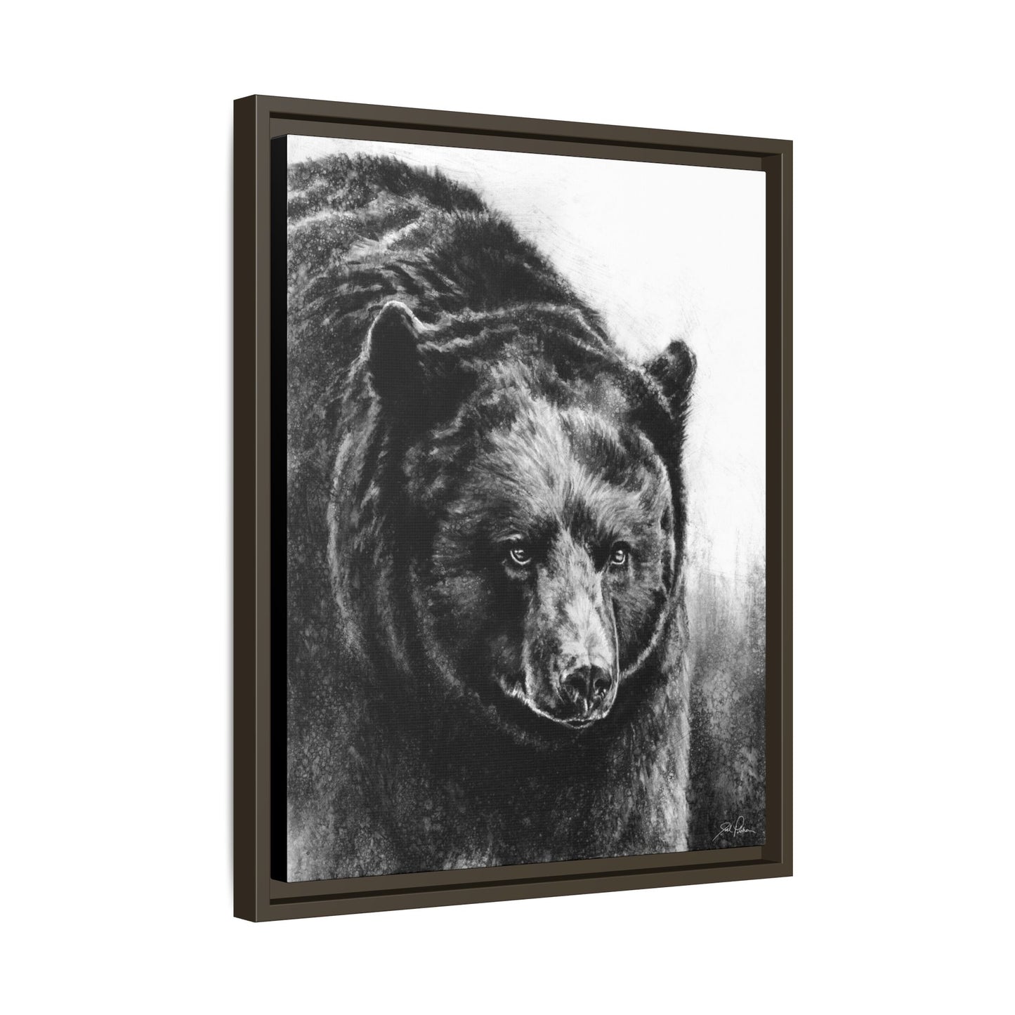 "Black Bear" Framed Canvas