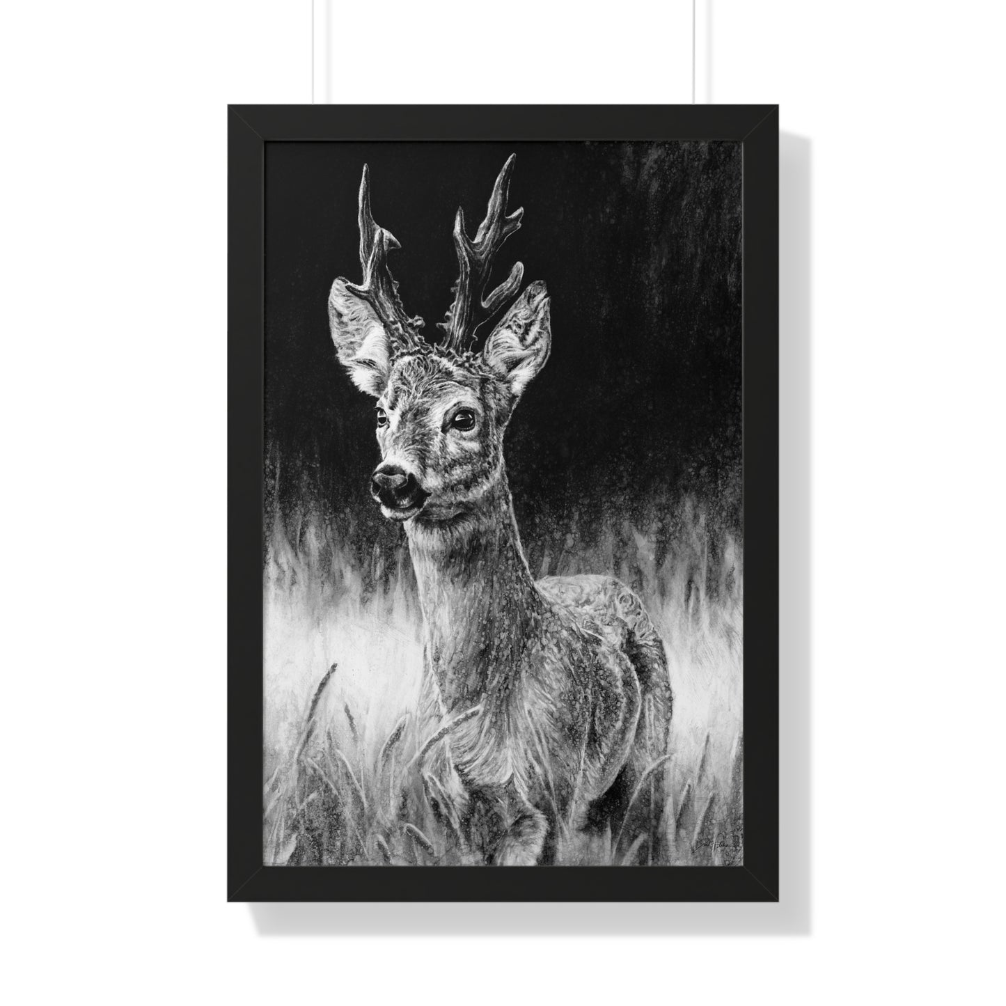 "Roe Deer" Framed Paper Print.