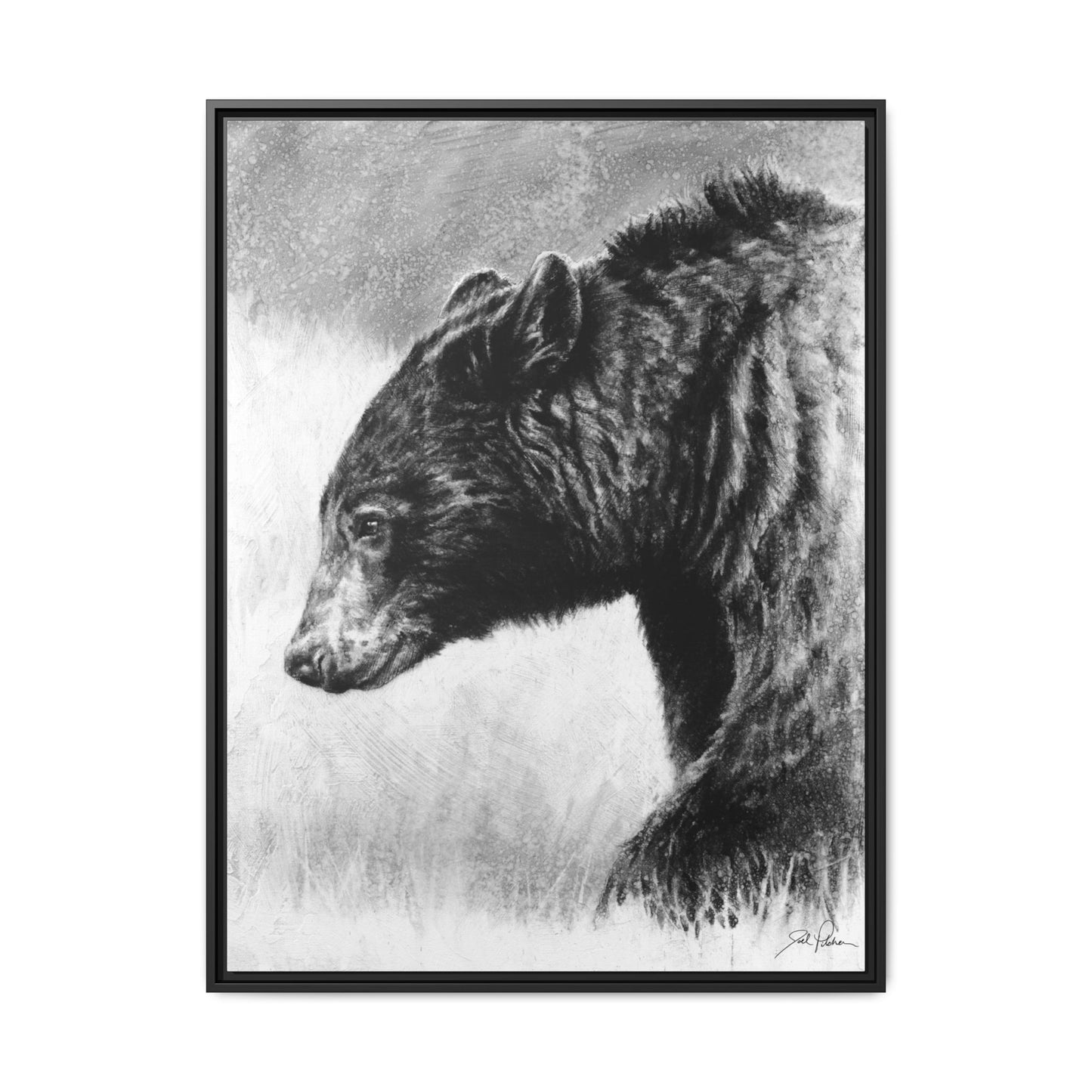 "Burly Bear" Framed Canvas