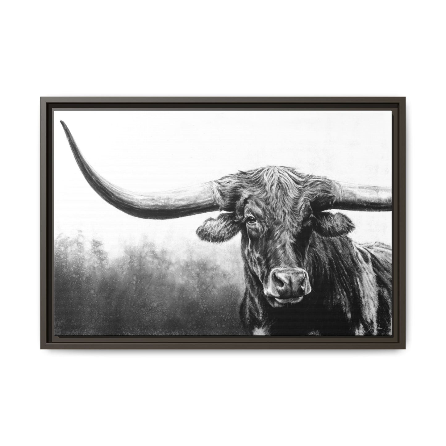 "Longhorn" Framed Canvas