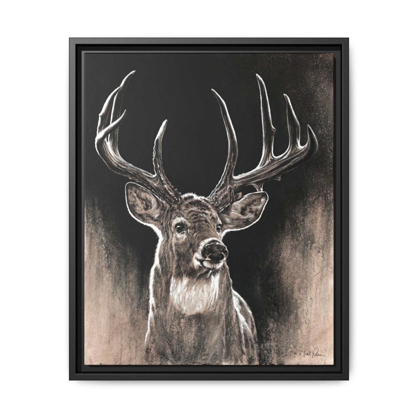 "Backlit Buck" Framed Canvas