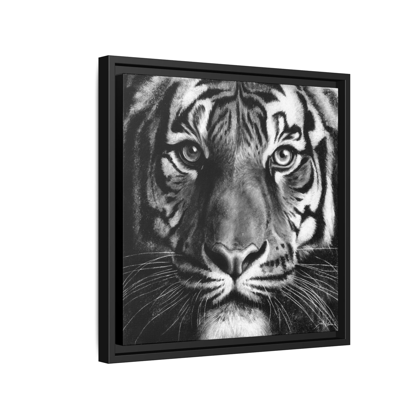 "Tiger" Framed Canvas