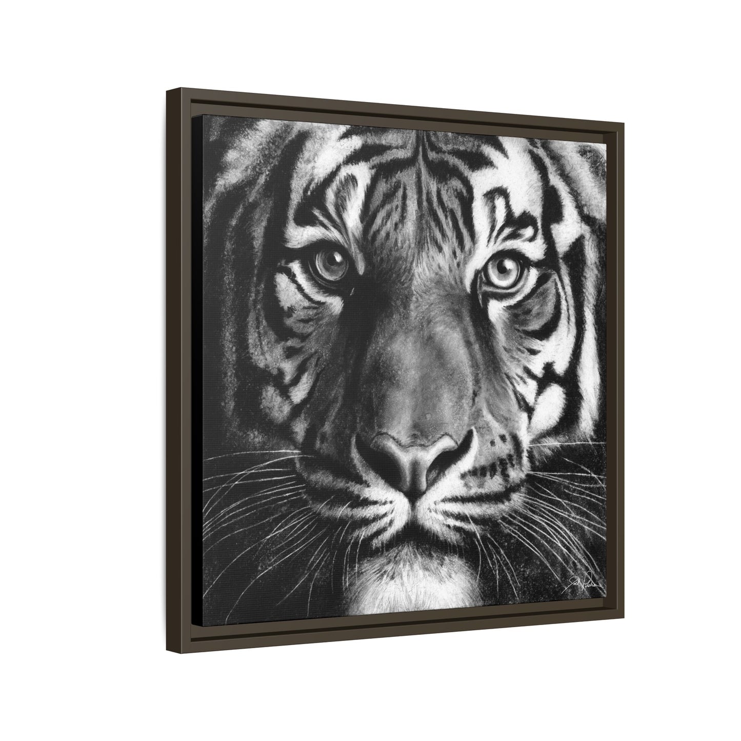"Tiger" Framed Canvas