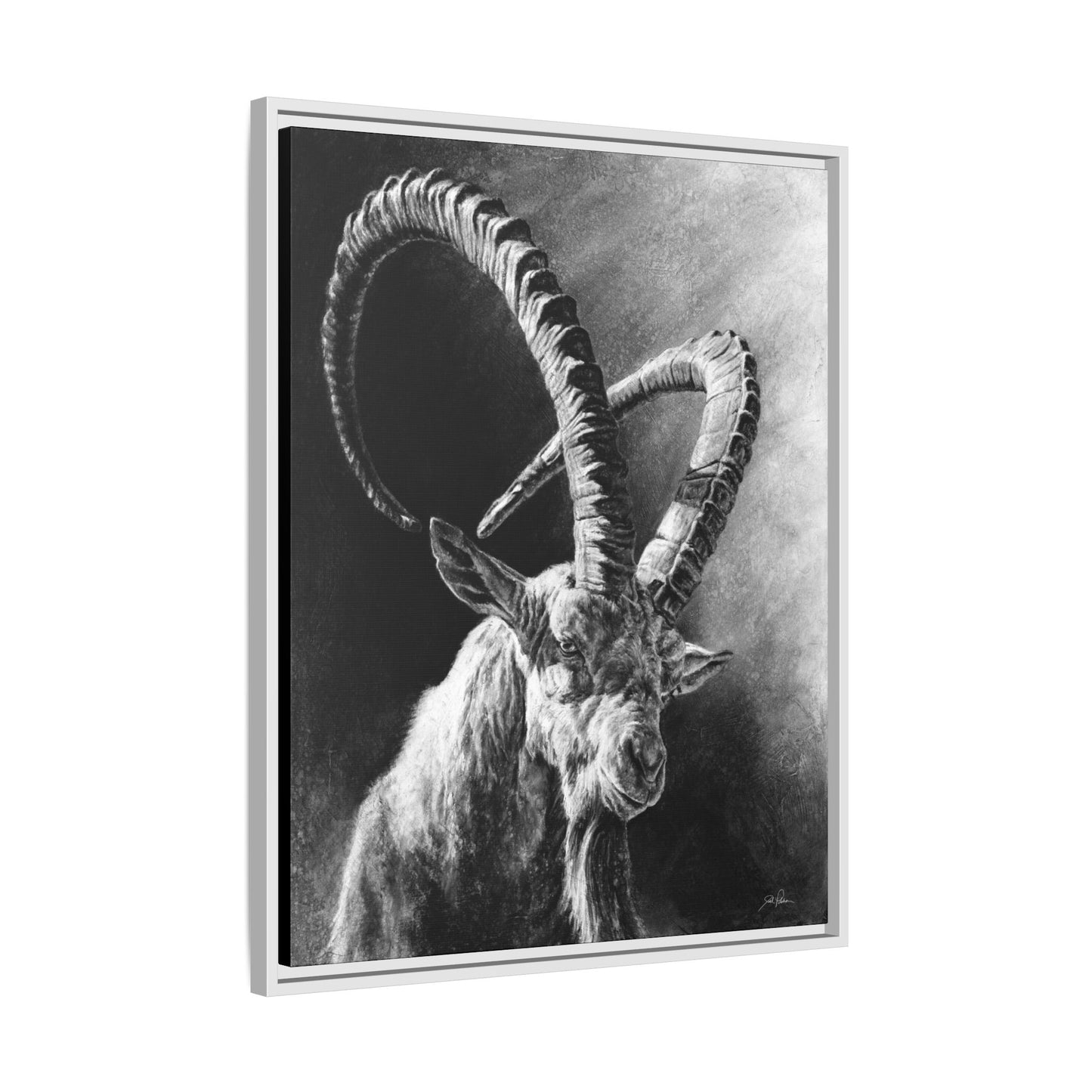 "Ibex" Framed Canvas