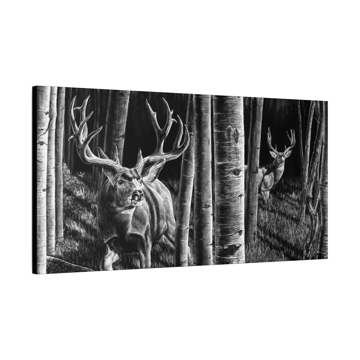 "Out of the Shadows" Stretched Canvas