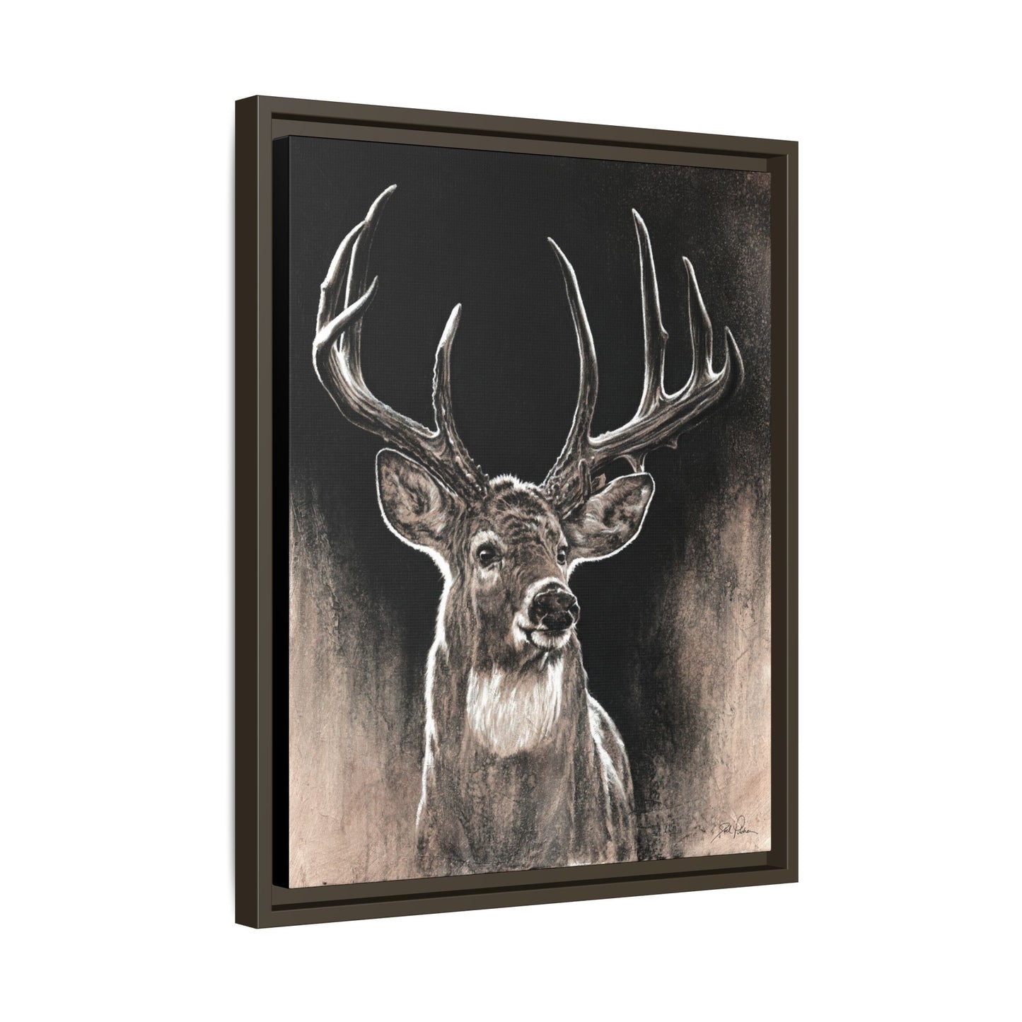 "Backlit Buck" Framed Canvas