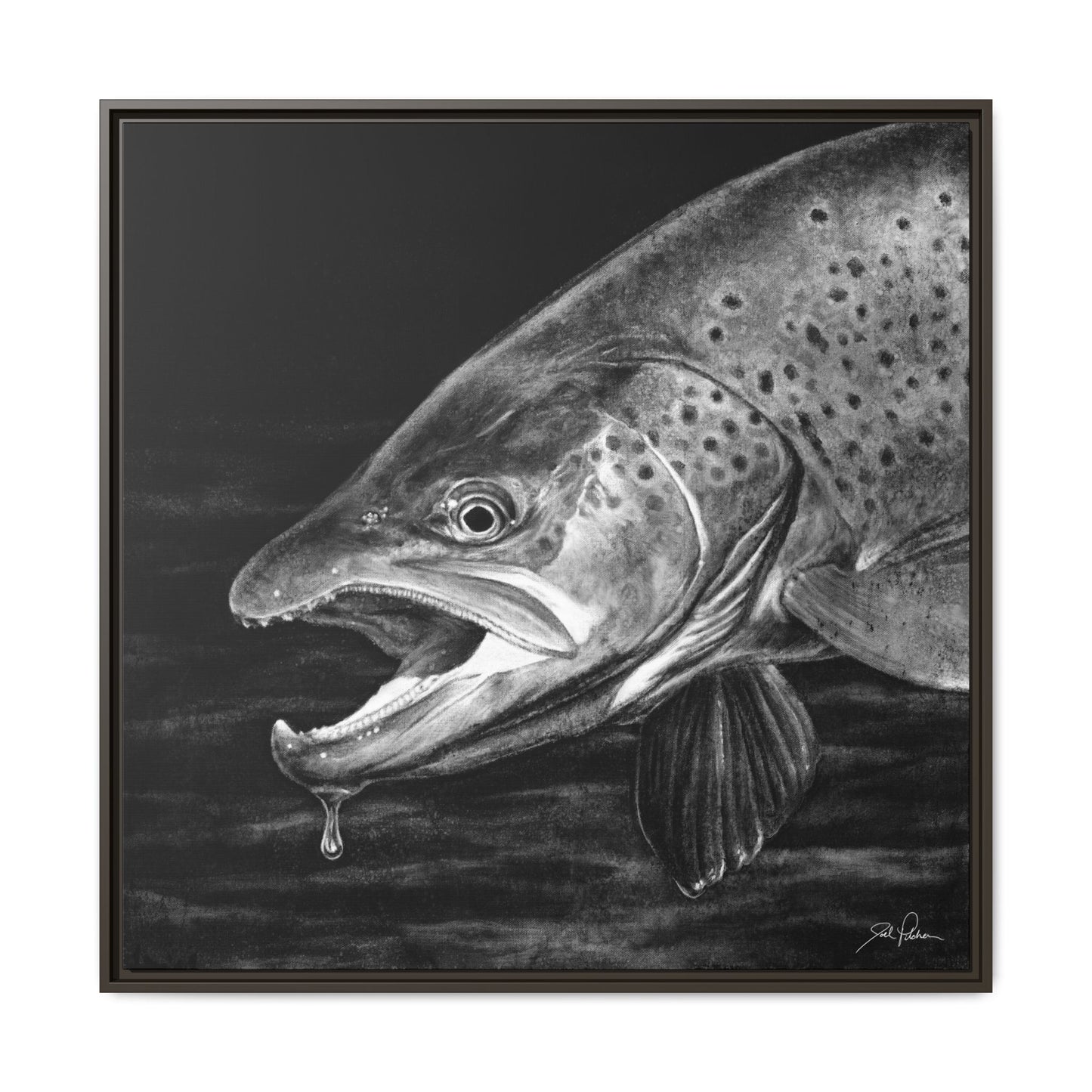 "Brown Trout" Framed Canvas