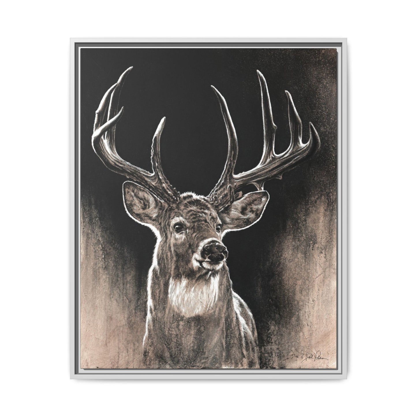 "Backlit Buck" Framed Canvas