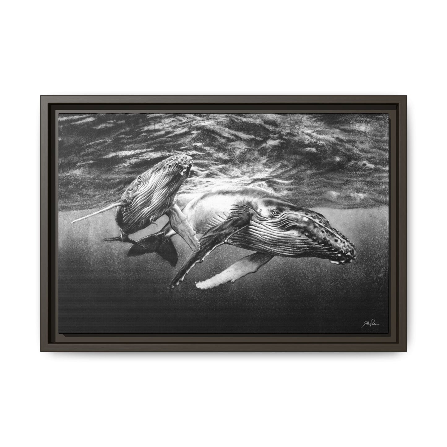 "Humpback Whales" Framed Canvas